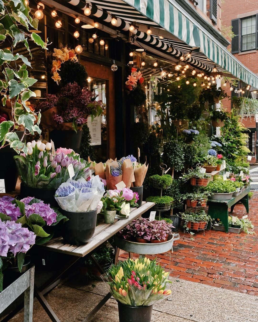 Flower Shop 桌布 壁紙 — 一間迷人的花店，簷篷掛有串燈，在磚砌行人路上展示鮮豔的花朵和茂密的綠植。