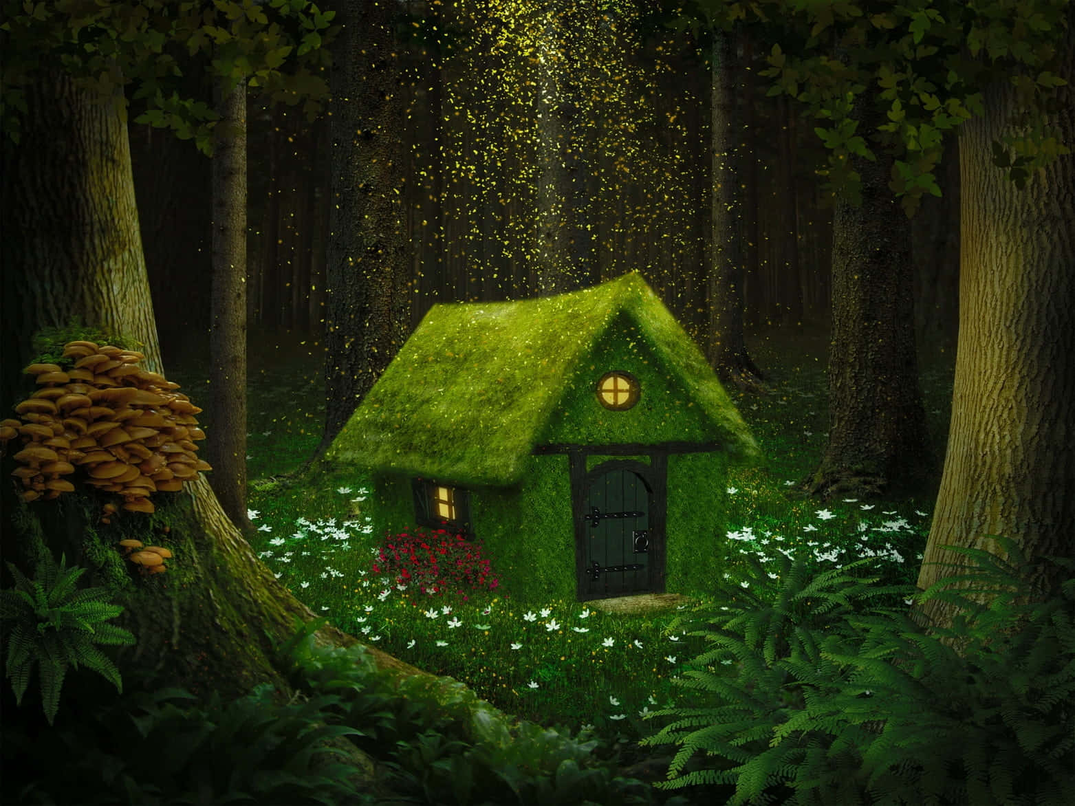 Enchantment 桌布 壁紙 — 一間長滿苔蘚的精靈小屋在茂密的森林中溫暖地發光，金色的光線穿過樹木。