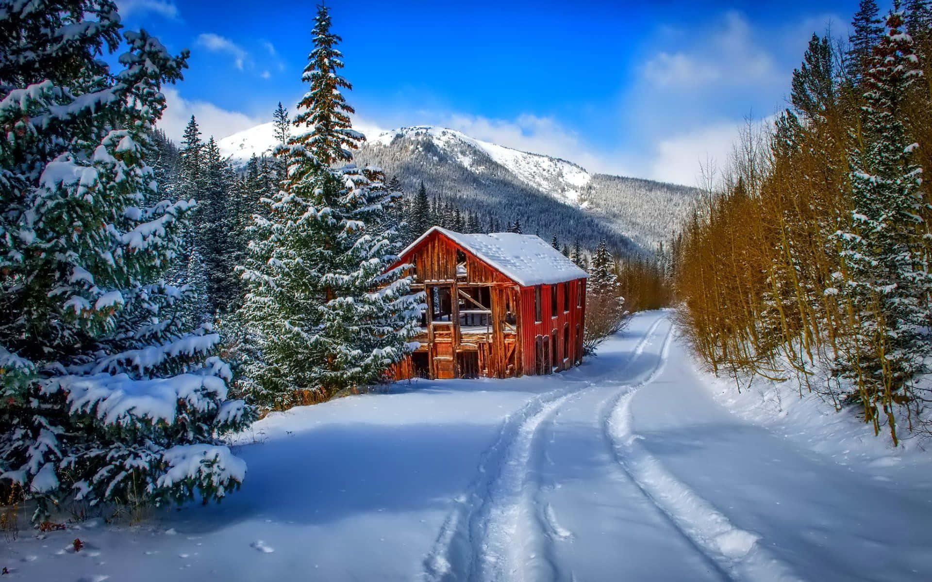 Cozy Winter Cabin 桌布 壁紙 — 一間鮮紅色的木屋坐落在白雪覆蓋的森林中，背景是白雪皚皚的山脈，天空湛藍明亮。
