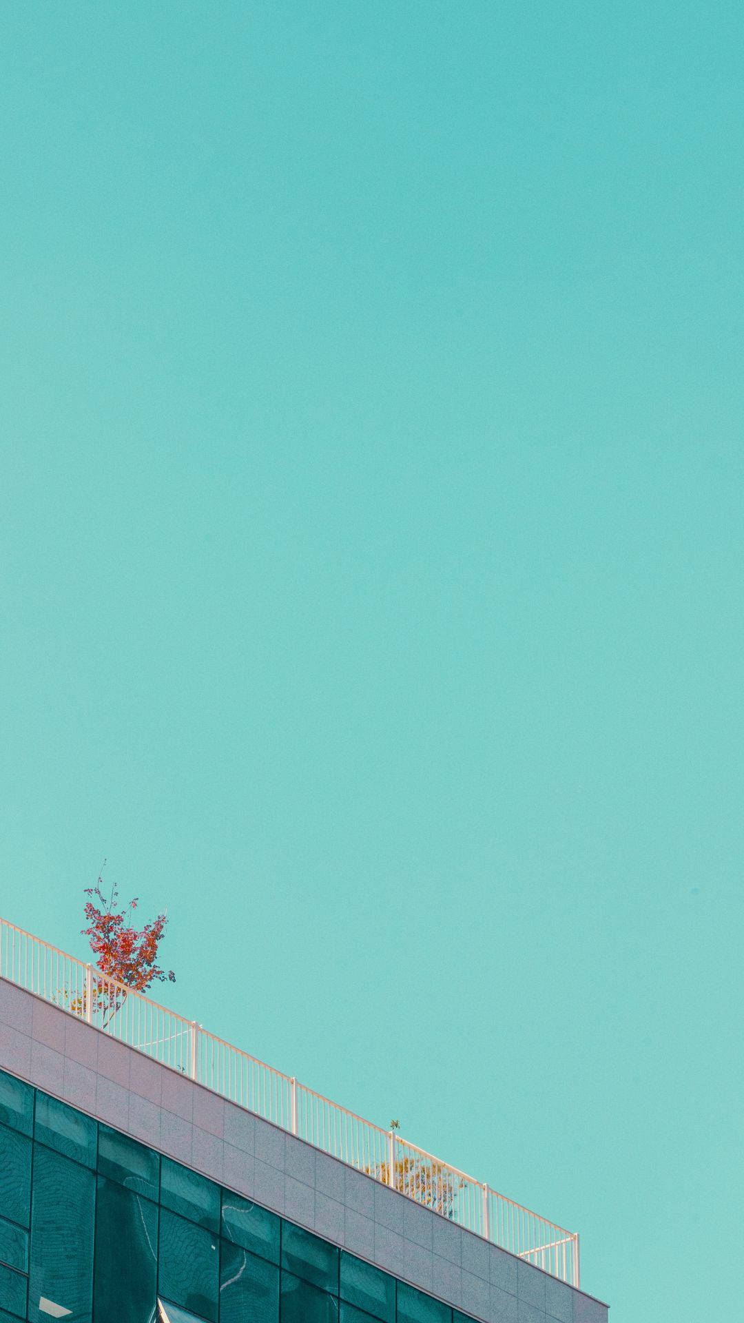 現代建築的屋頂角落，有一棵小紅植物，背景是青綠色天空。
