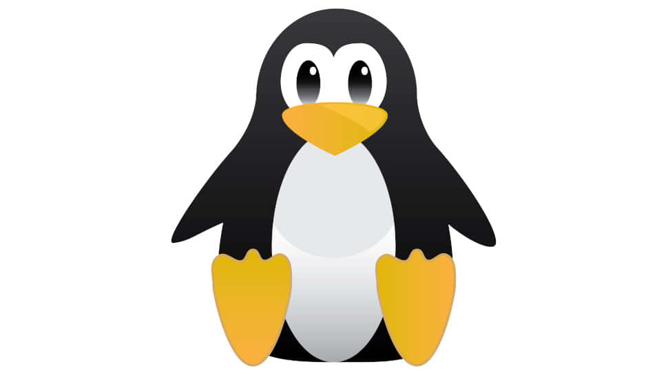 Linux 圖片
