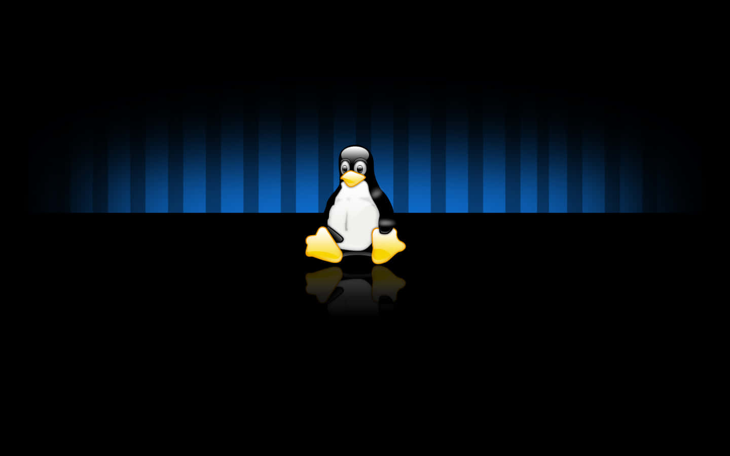 Linux 圖片