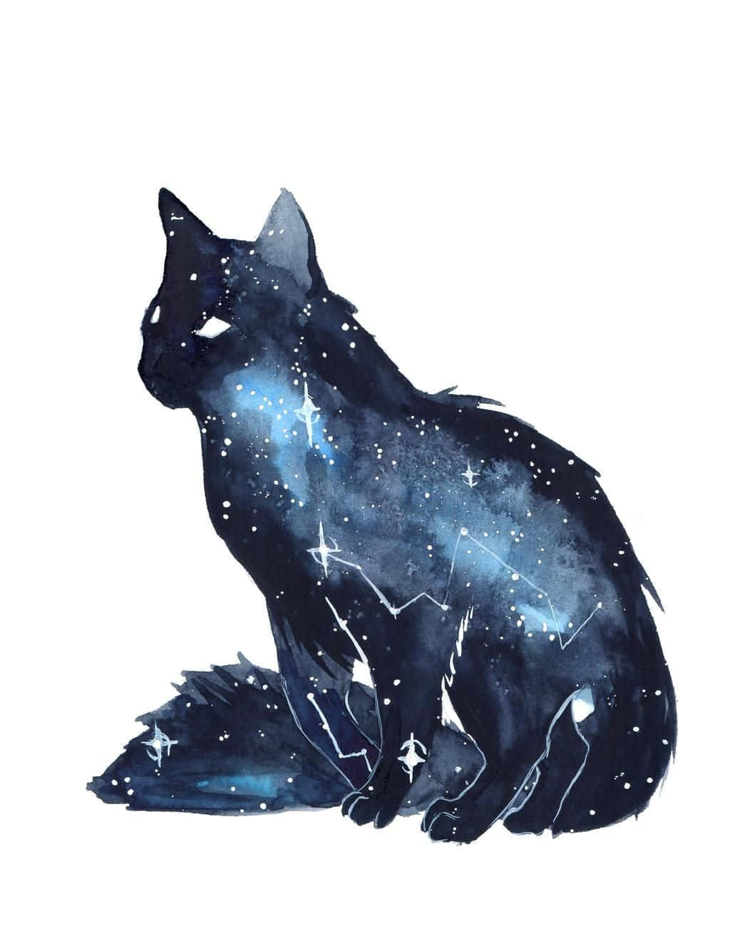 貓剪影，其身體內部繪有星星和星座。
