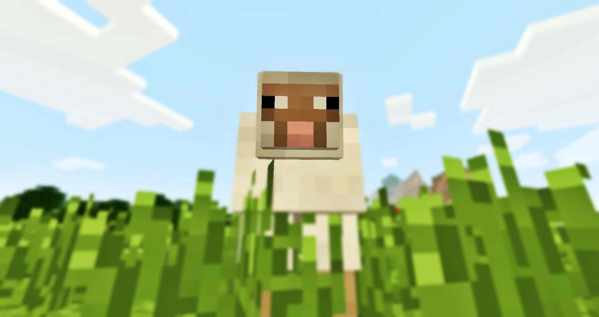 Minecraft Sheep 桌布 壁紙 — 一隻像素化嘅羊企喺一個方塊狀嘅草地上面，背景係晴朗嘅藍天同 fluffy 白色雲。