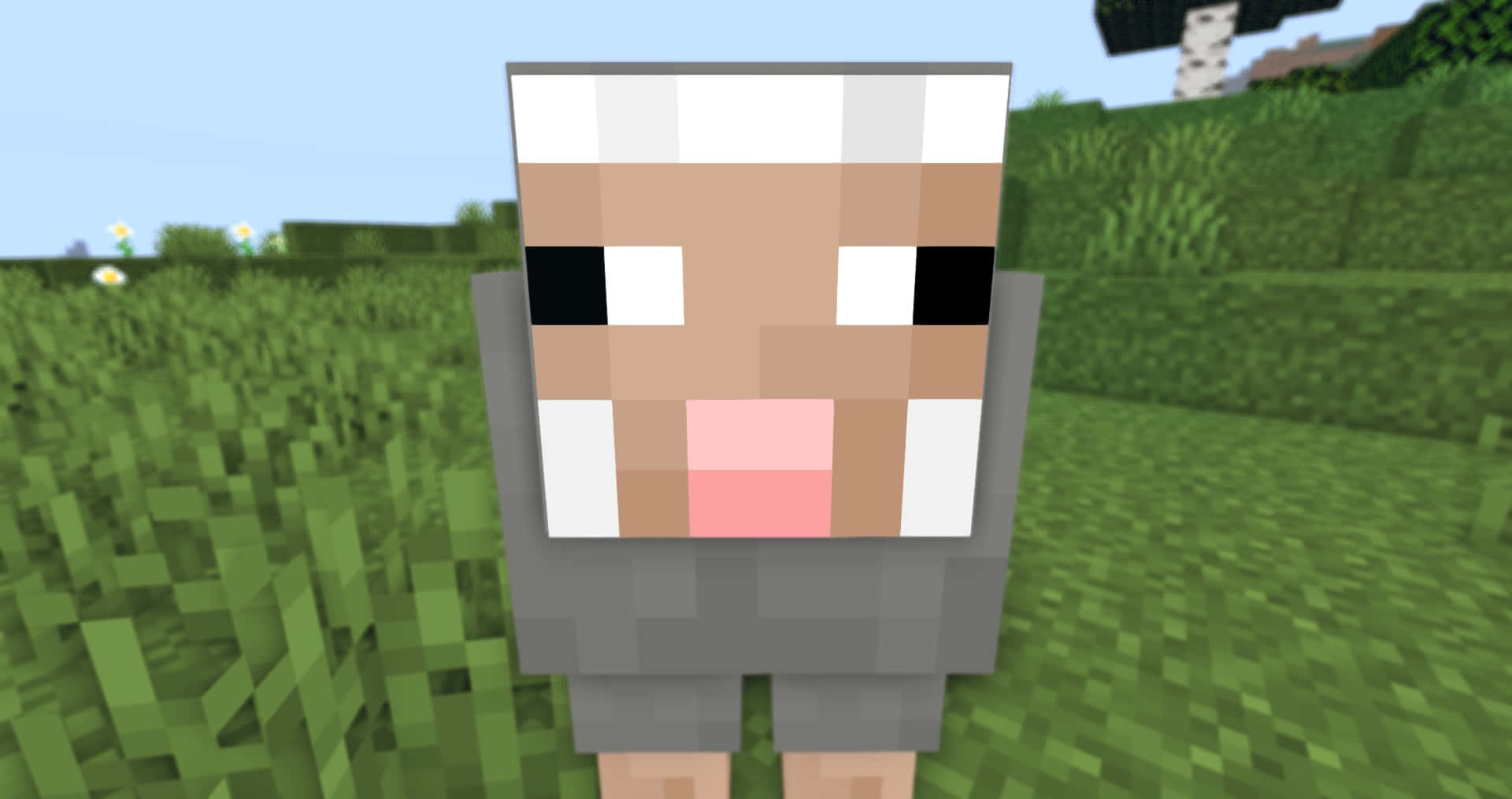 Minecraft Sheep 桌布 壁紙 — 一隻像素化嘅羊企喺草地上面，喺一個方塊遊戲世界嘅晴朗藍天下。