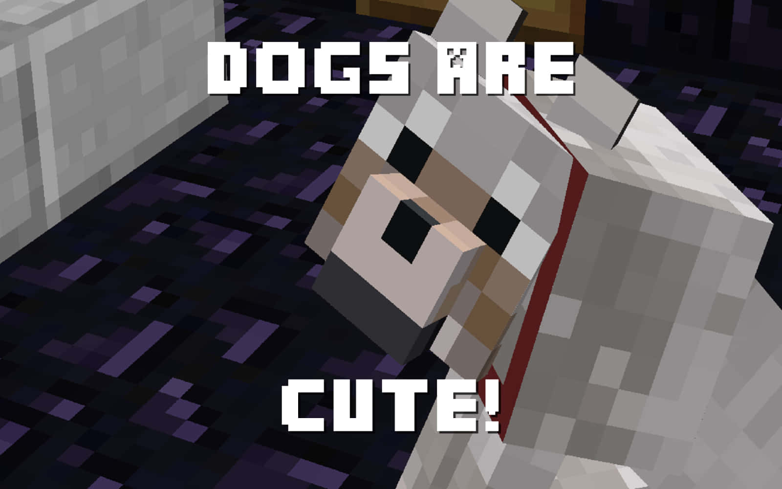 Minecraft Wolf 桌布 壁紙 — 一隻像素化的Minecraft狗躺在紫色方塊地板上，粗體文字宣稱狗很可愛。
