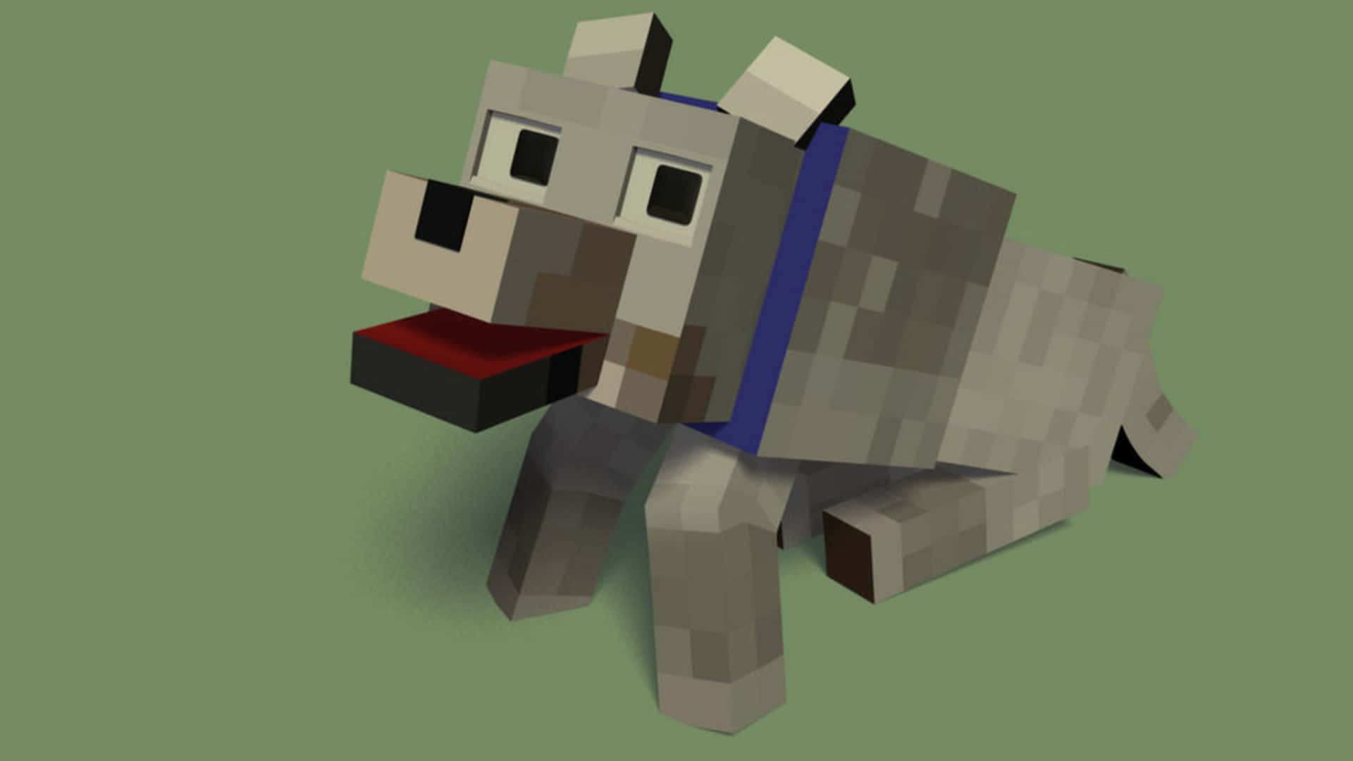 Minecraft Wolf 桌布 壁紙 — 一隻像素化的Minecraft狗，戴著藍色項圈，伸出紅色舌頭，坐在純綠色背景前。