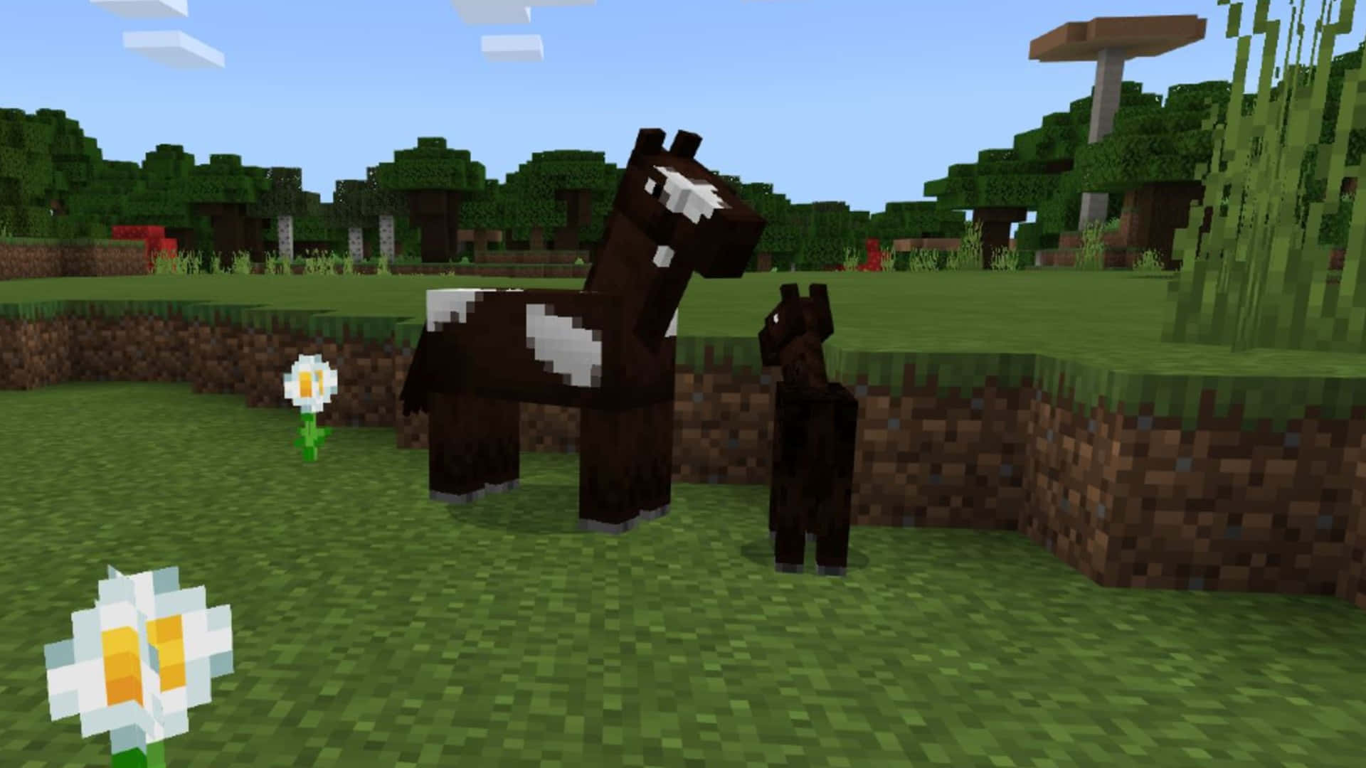 Minecraft Horses 桌布 壁紙 — 一隻像素化的棕色馬帶有白色斑紋，站在Minecraft的草地田野中，旁邊有一朵小白花，背景是清澈的藍天。