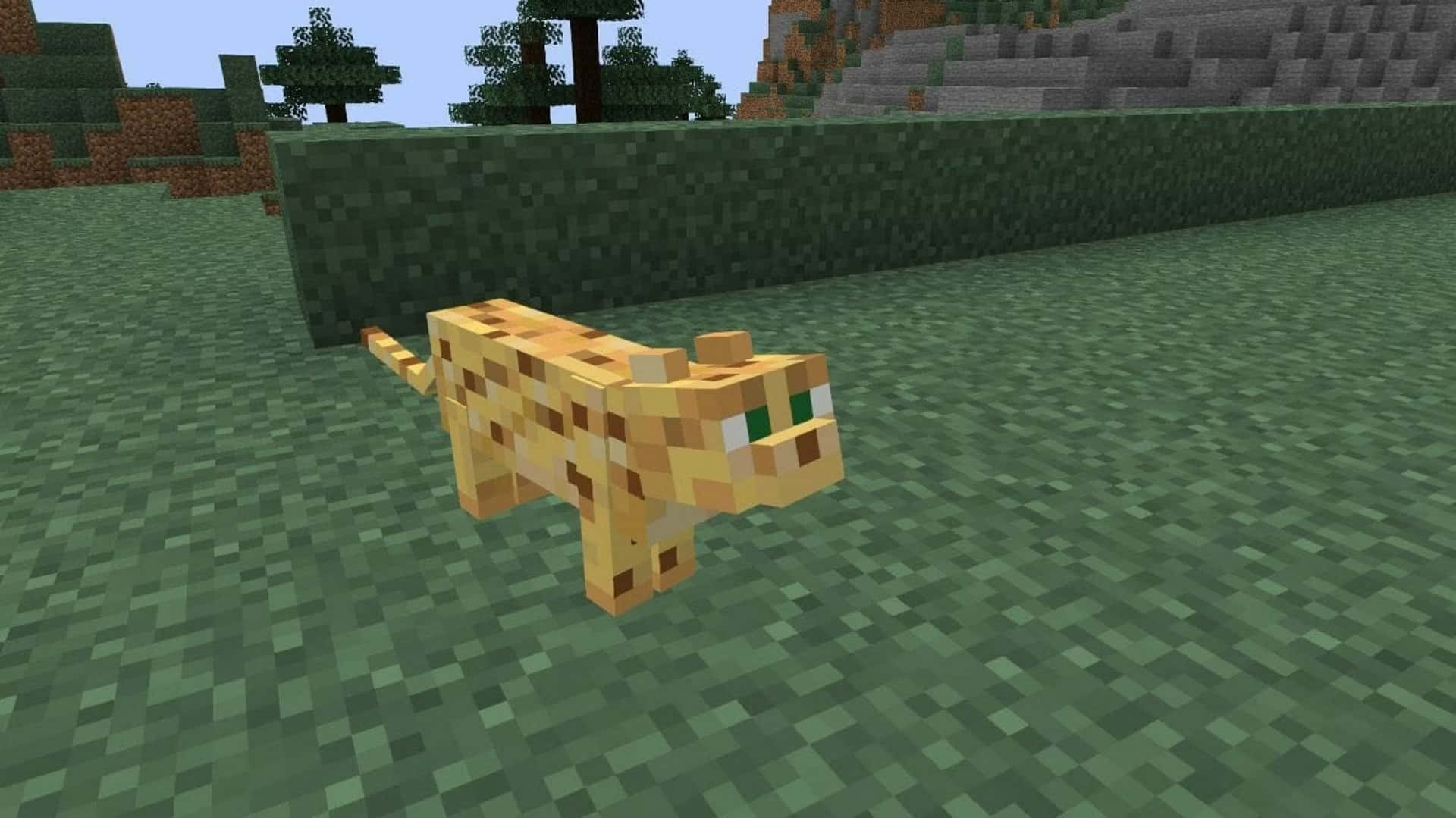 Minecraft Ocelot 桌布 壁紙 — 一隻像素化的橙色虎斑貓在Minecraft景觀中，穿過有樹木和山丘的方塊草地。