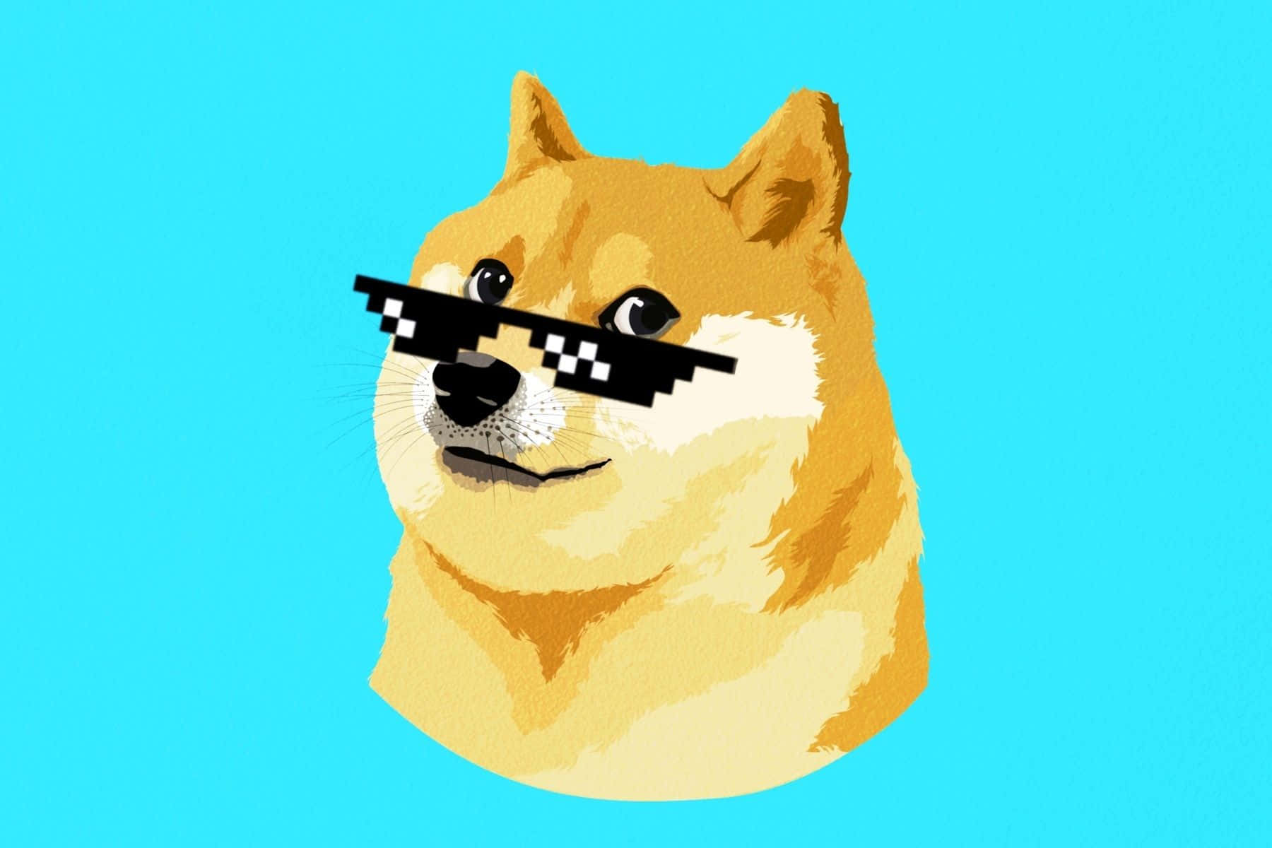 Dog Memes 桌布 壁紙 — 一隻像素化的狗戴着黑色太陽眼鏡，背景是明亮的青色。