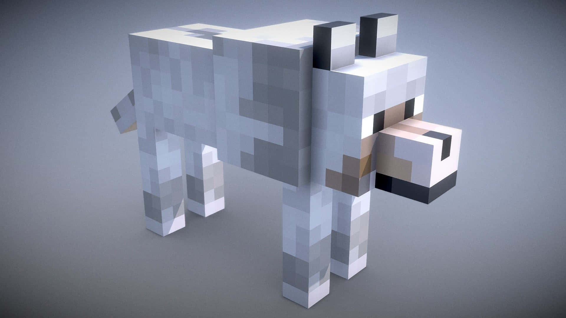 Minecraft Wolf 桌布 壁紙 — 一隻像素化的白狼站在一個極簡風格的攝影棚中，帶有柔和的灰色燈光和方塊狀紋理。