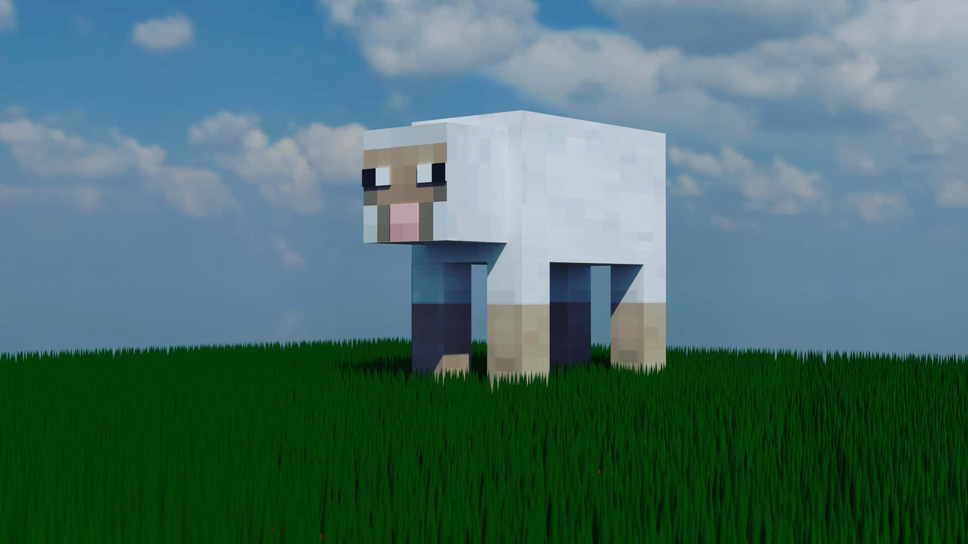 Minecraft Sheep 桌布 壁紙 — 一隻像素化的白色綿羊站在草地上，藍天白雲下。