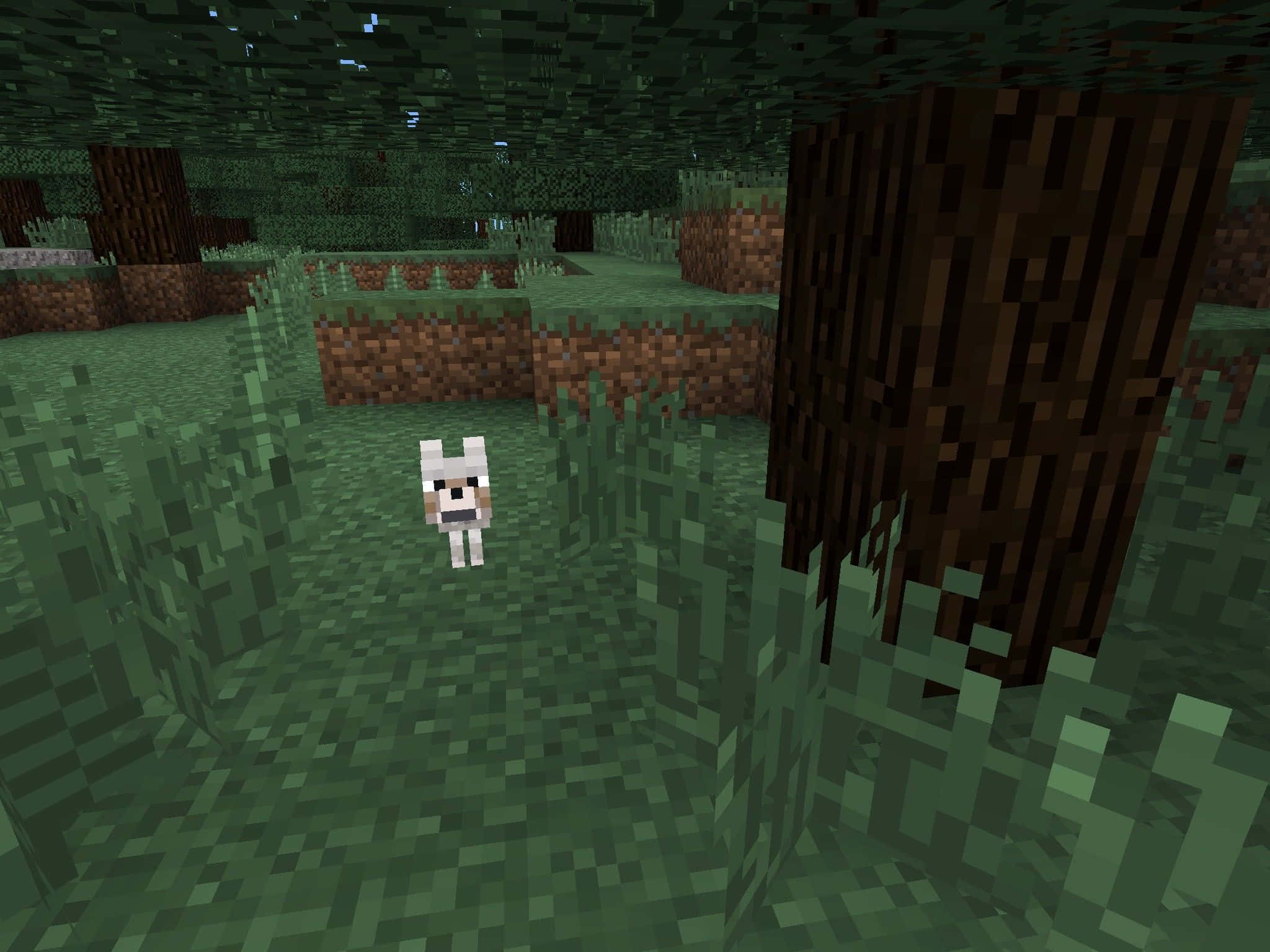 Minecraft Pets 桌布 壁紙 — 一隻像素化的白色羊站在一個有高草和樹木的方塊森林中，樹冠昏暗。