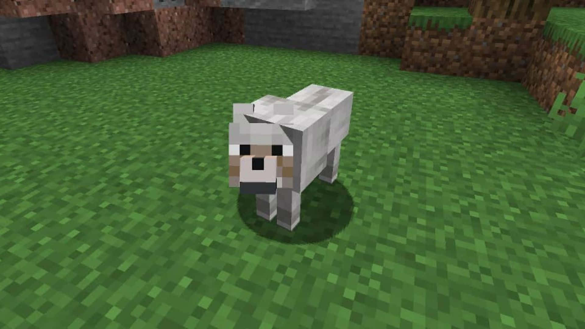 Minecraft Wolf 桌布 壁紙 — 一隻像素化的白色羊站在充滿活力的綠色草地上，背景是帶有泥土和石頭懸崖的方塊狀Minecraft景觀。