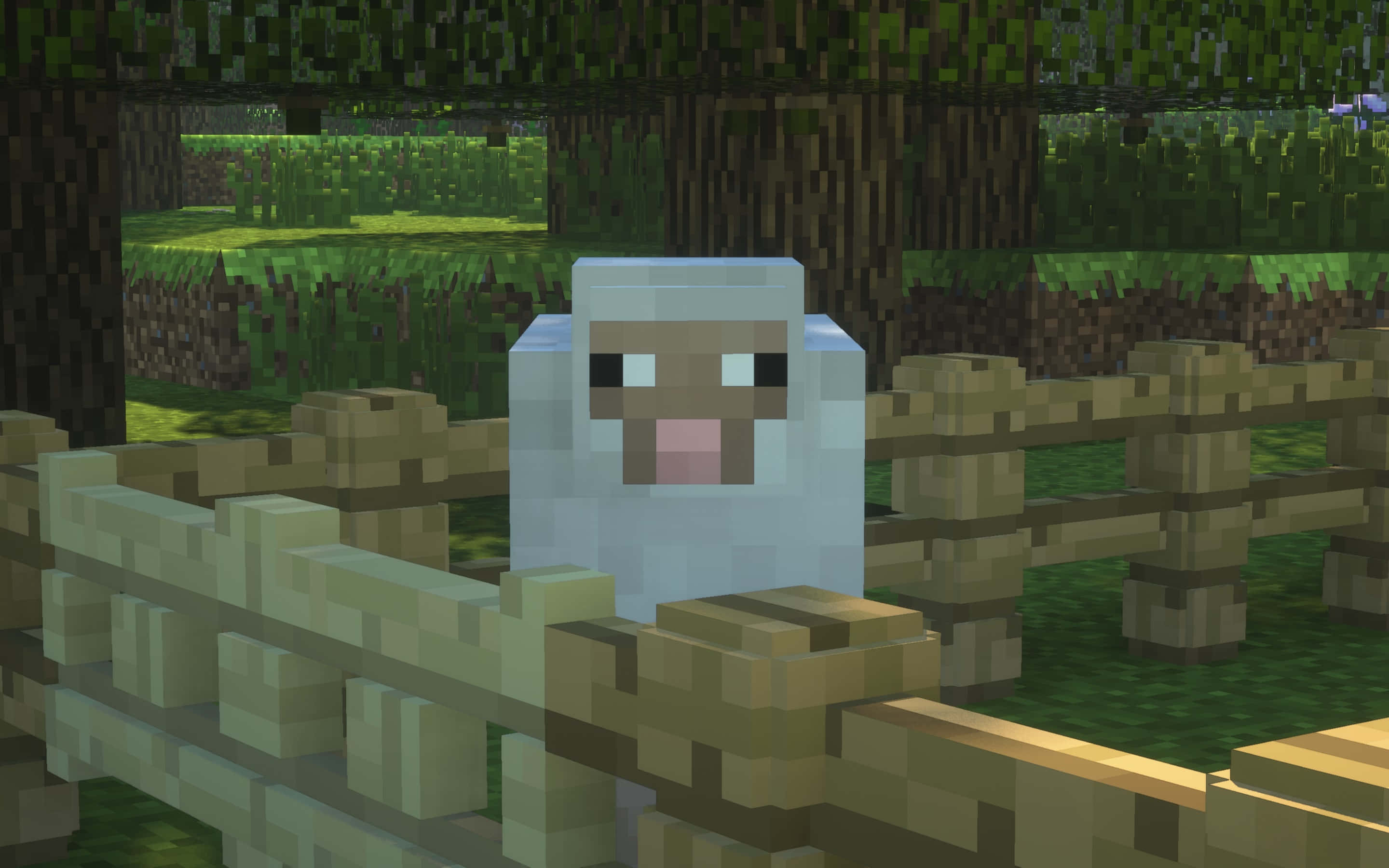 Minecraft Sheep 桌布 壁紙 — 一隻像素化的白色羊站在木柵欄後面，身處一個有綠色草地和樹木的方塊狀 Minecraft 森林中。