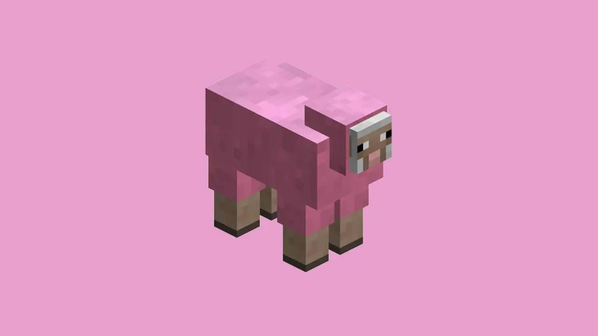 Minecraft Sheep 桌布 壁紙 — 一隻像素化的粉紅色羊站在純粉紅色背景中央，採用Minecraft的方塊藝術風格。