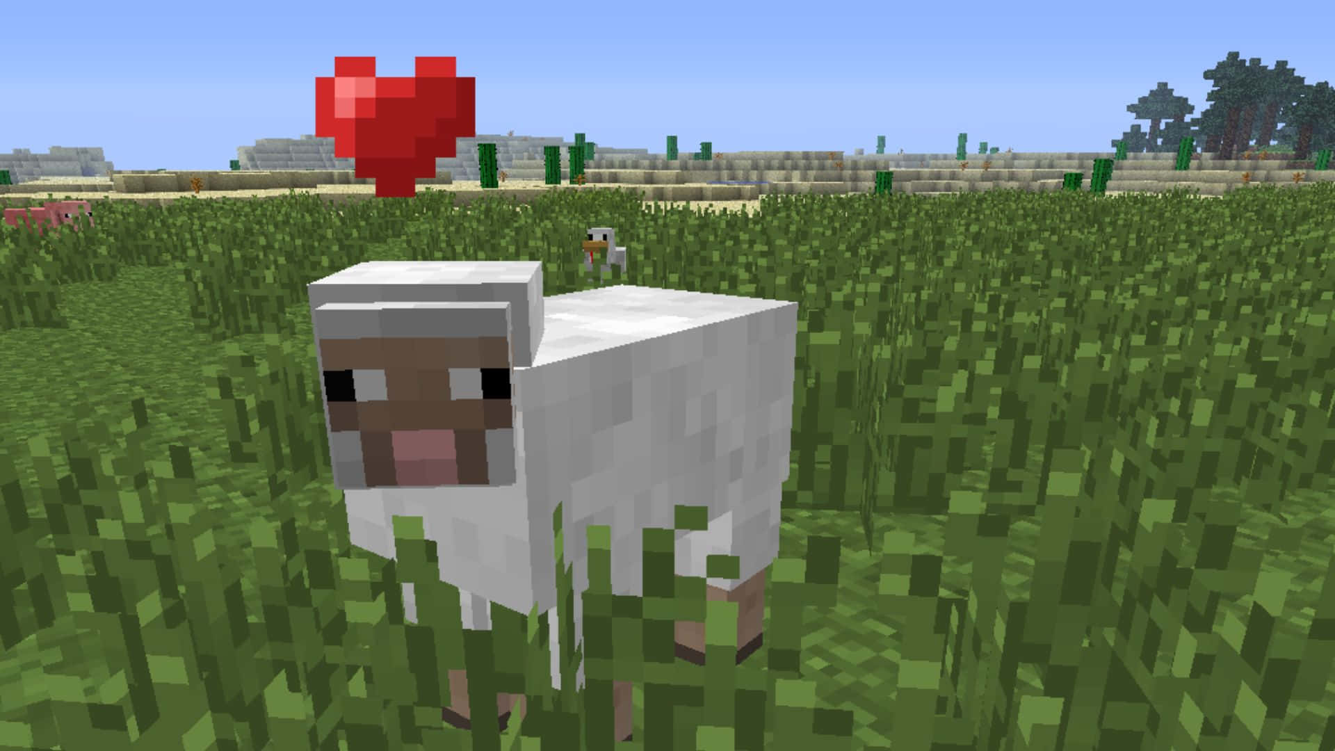 Minecraft Sheep 桌布 壁紙 — 一隻像素化的羊站在草地上，上面漂浮著一個紅色心形，在Minecraft世界中。