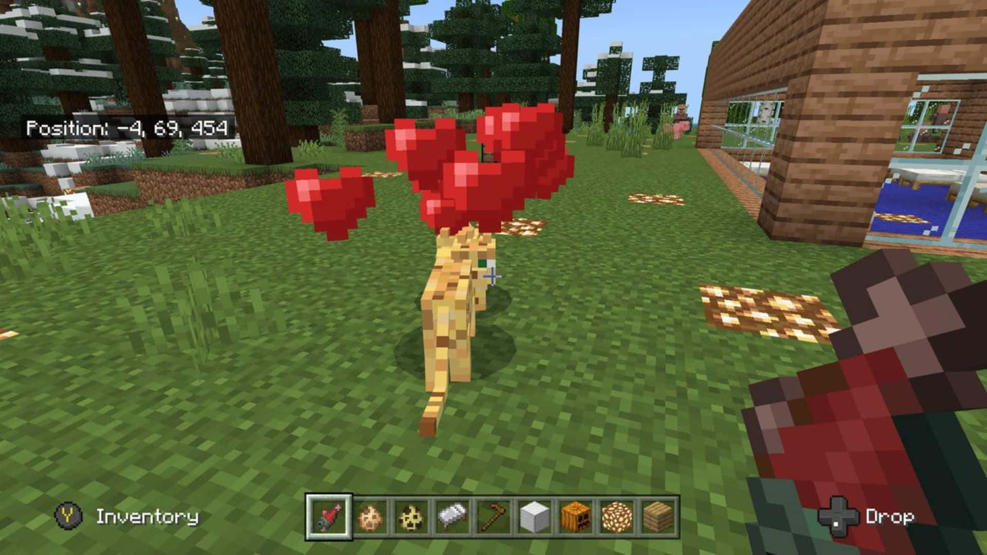 Minecraft Ocelot 桌布 壁紙 — 一隻像素化的貓帶著紅色心形漂浮在木屋附近的草地Minecraft森林中。