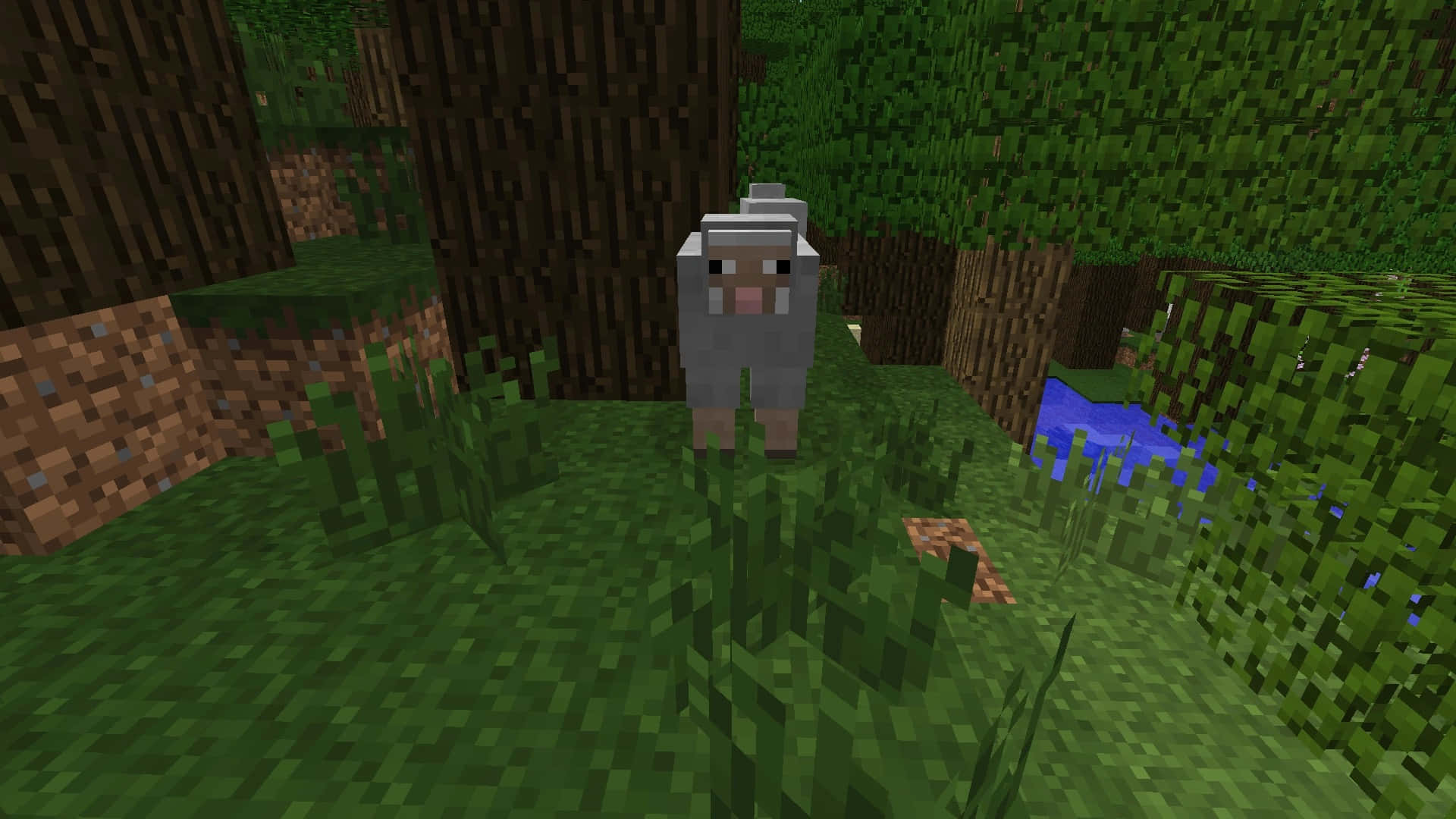 Minecraft Sheep 桌布 壁紙 — 一隻像素化羊站在有樹木和一條藍色小溪附近的草地森林空地中。