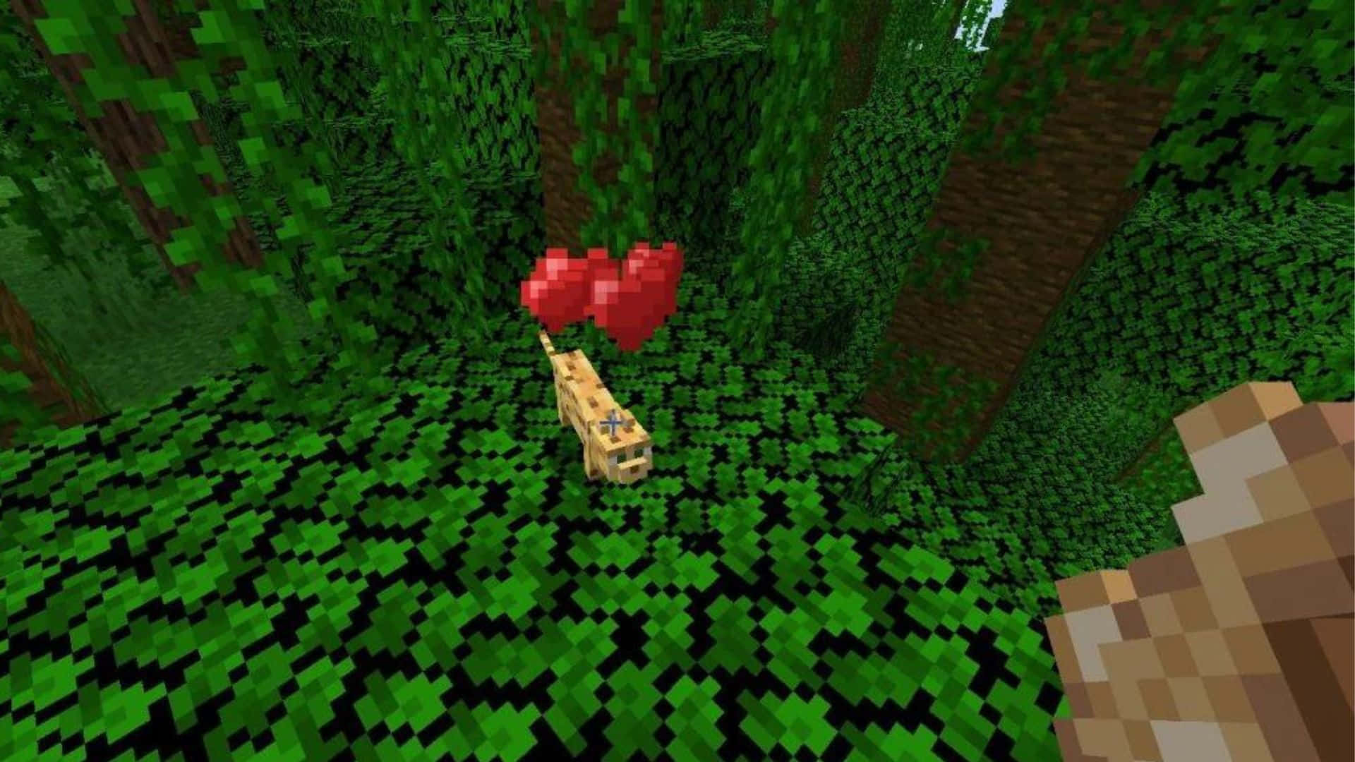 Minecraft Ocelot 桌布 壁紙 — 一隻像素化貓咪帶著漂浮的紅色心形穿過Minecraft中茂密的綠色森林。