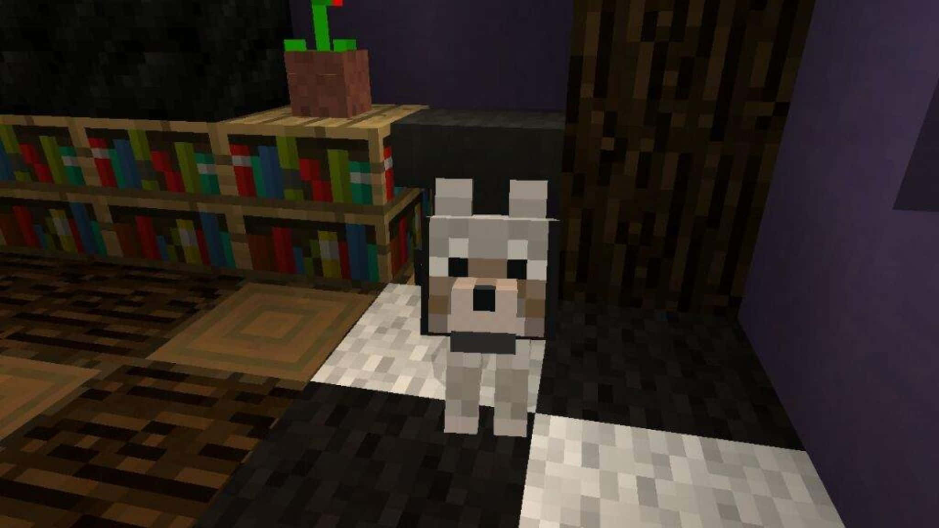 Minecraft Wolf 桌布 壁紙 — 一隻像素狗站在一個有書架和木架上仙人掌的Minecraft房間裏。