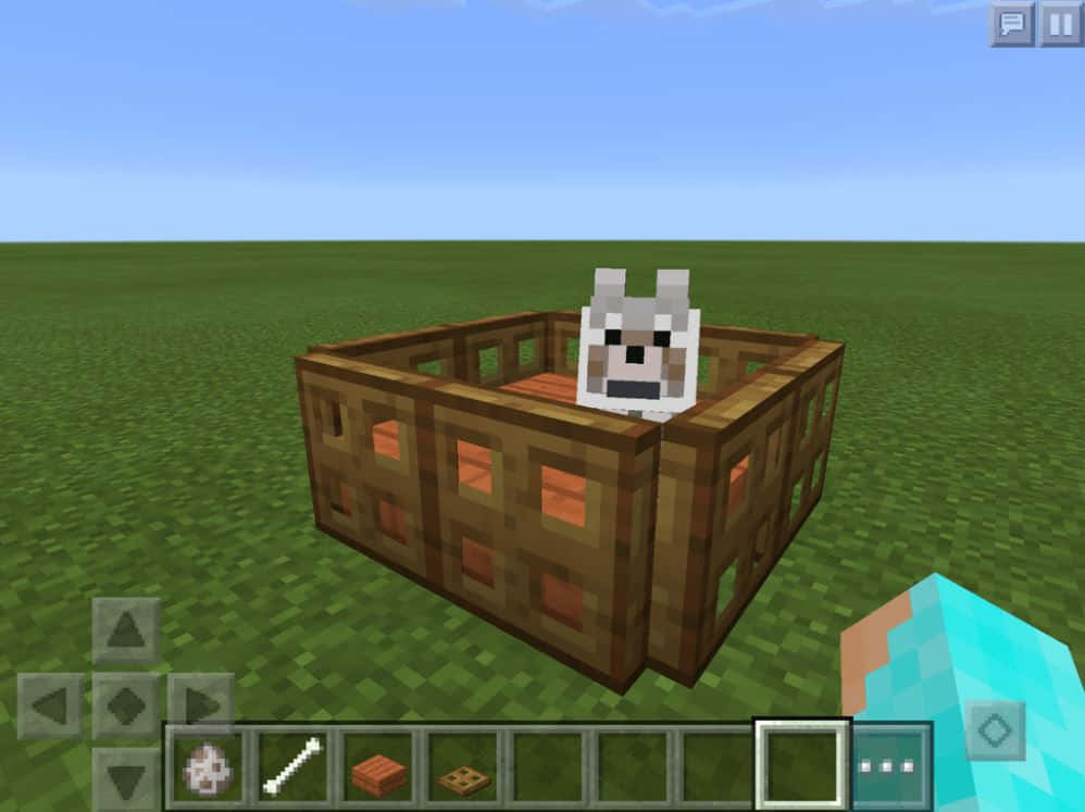 Minecraft Pocket Edition 桌布 壁紙 — 一隻像素狼從一個木箱中探出頭來，背景是平坦的草地Minecraft世界，上方是清澈的藍天。