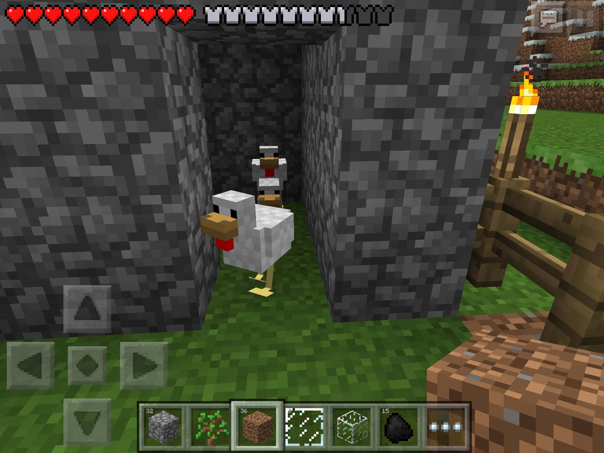 Minecraft Pocket Edition 桌布 壁紙 — 一隻像素雞企喺石頭隧道入面，旁邊有火炬同木柵欄，係Minecraft遊戲場景。