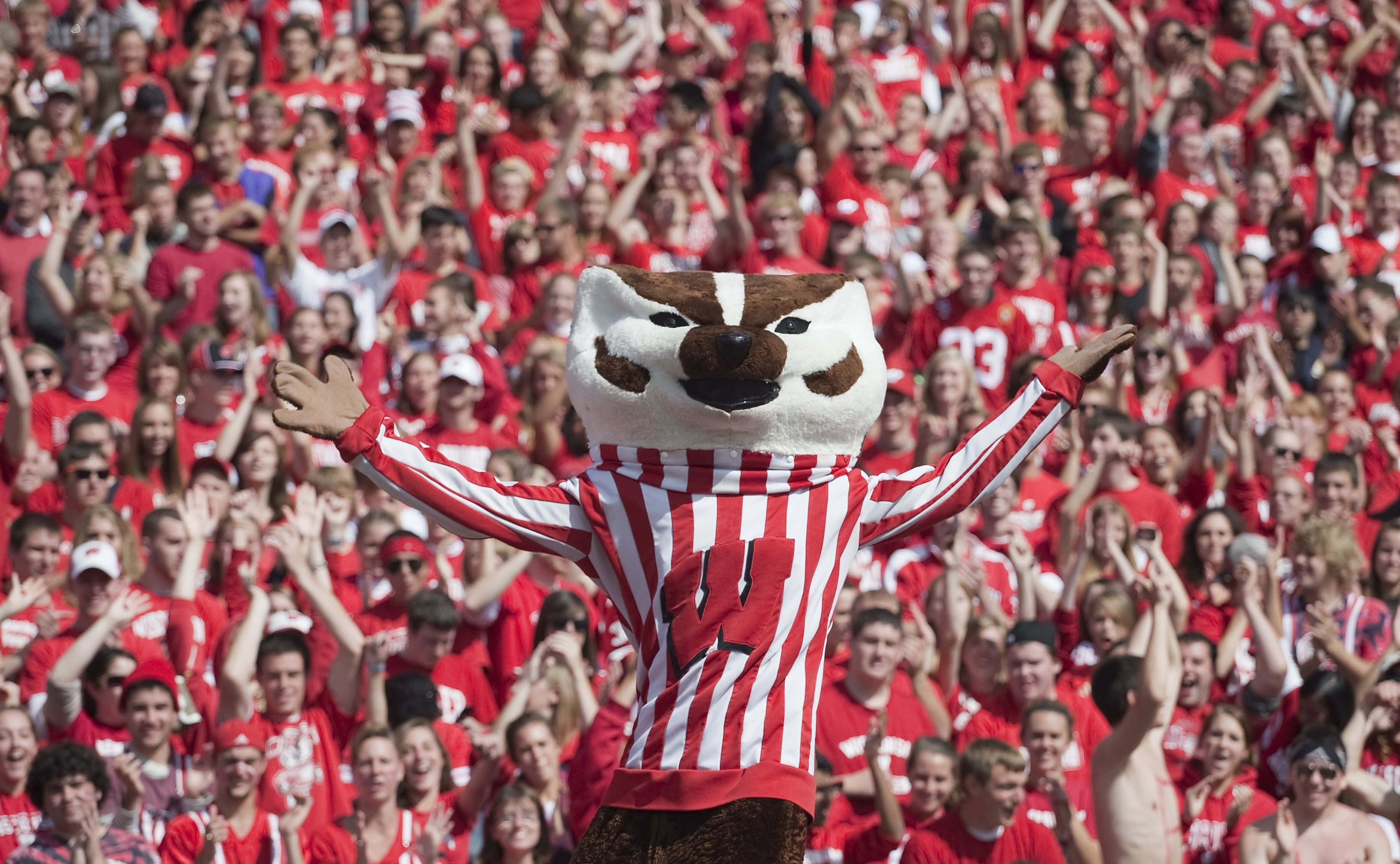 Wisconsin Badgers 桌布 壁紙 — 一隻充滿活力的獾吉祥物，身穿紅白條紋，在穿著紅色服裝的粉絲們的歡呼聲中張開雙臂歡呼。