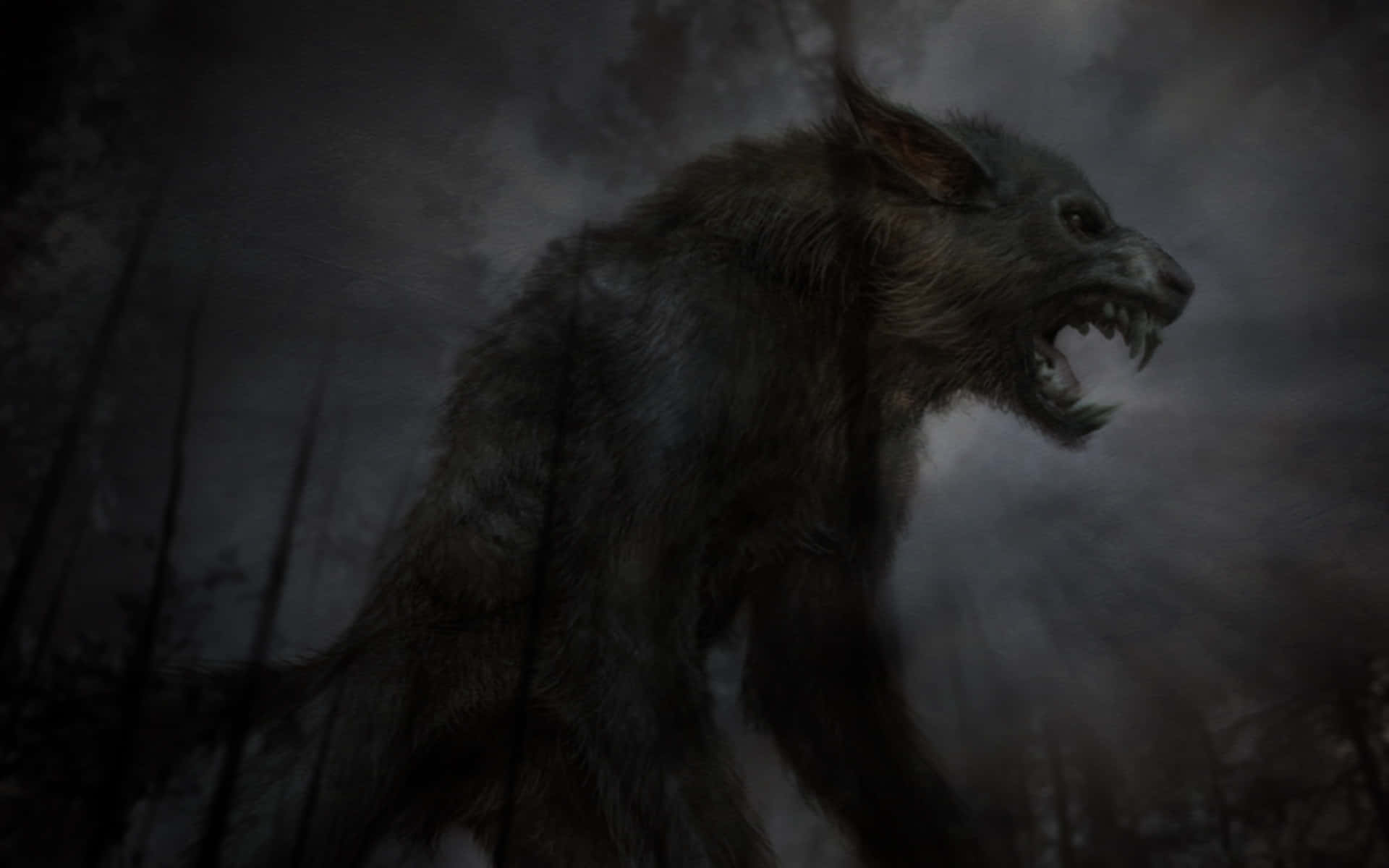 Angry Wolf 桌布 壁紙 — 一隻兇猛的狼人在黑暗多霧的森林中，在暴風雨的天空下露出牙齒咆哮。