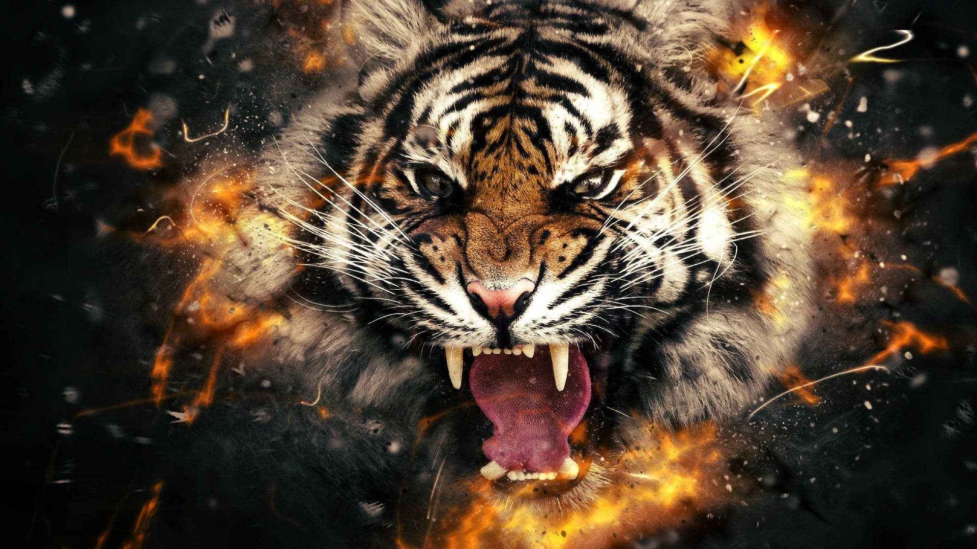 harimau 桌布 壁紙 — 一隻兇猛的老虎在黑暗背景中咆哮，火焰在它的臉周圍爆炸。