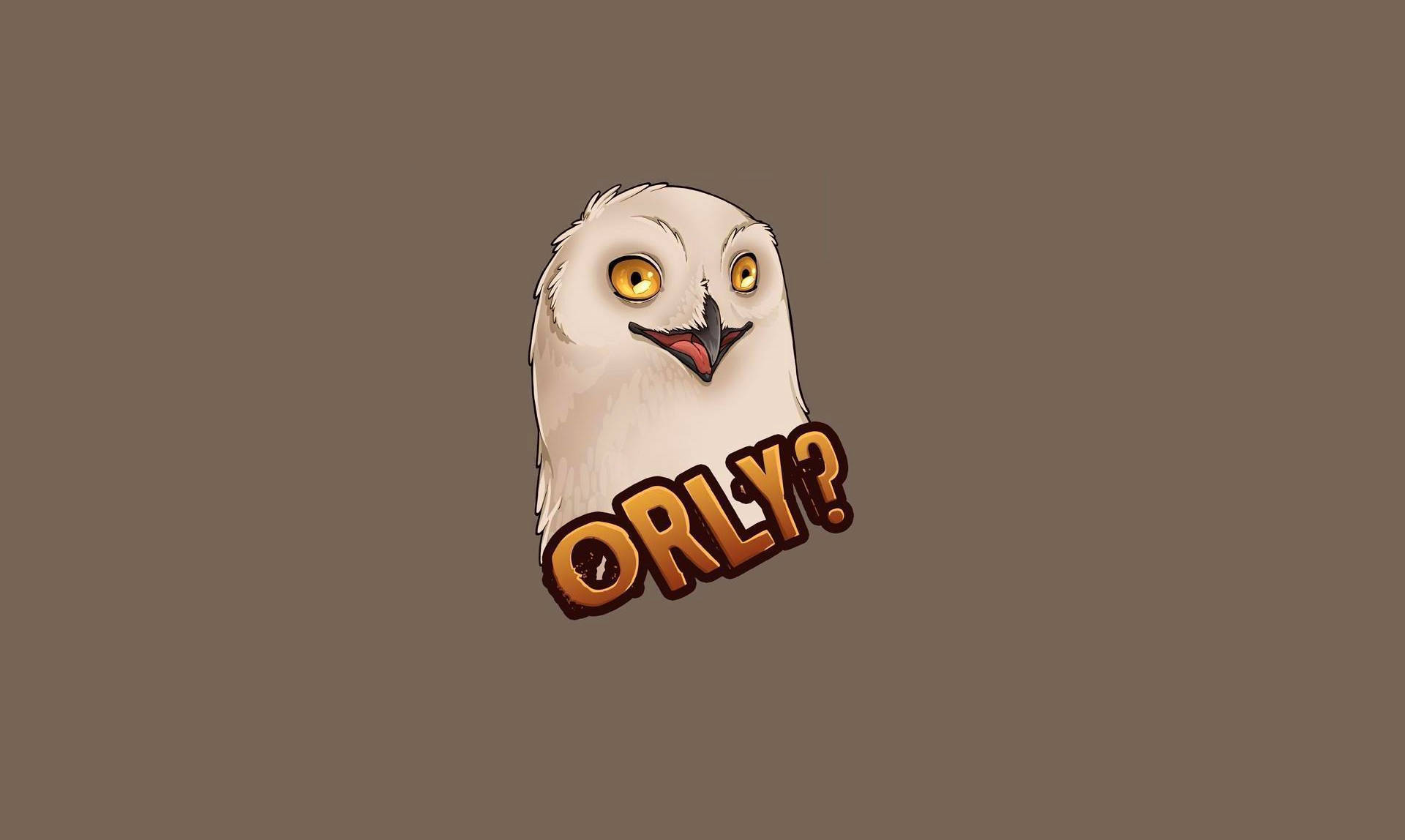 「O RLY？」 壁紙 — 一隻卡通貓頭鷹，有著大大的黃色眼睛和驚訝的表情，在純棕色背景上用粗體文字問「ORLY？」