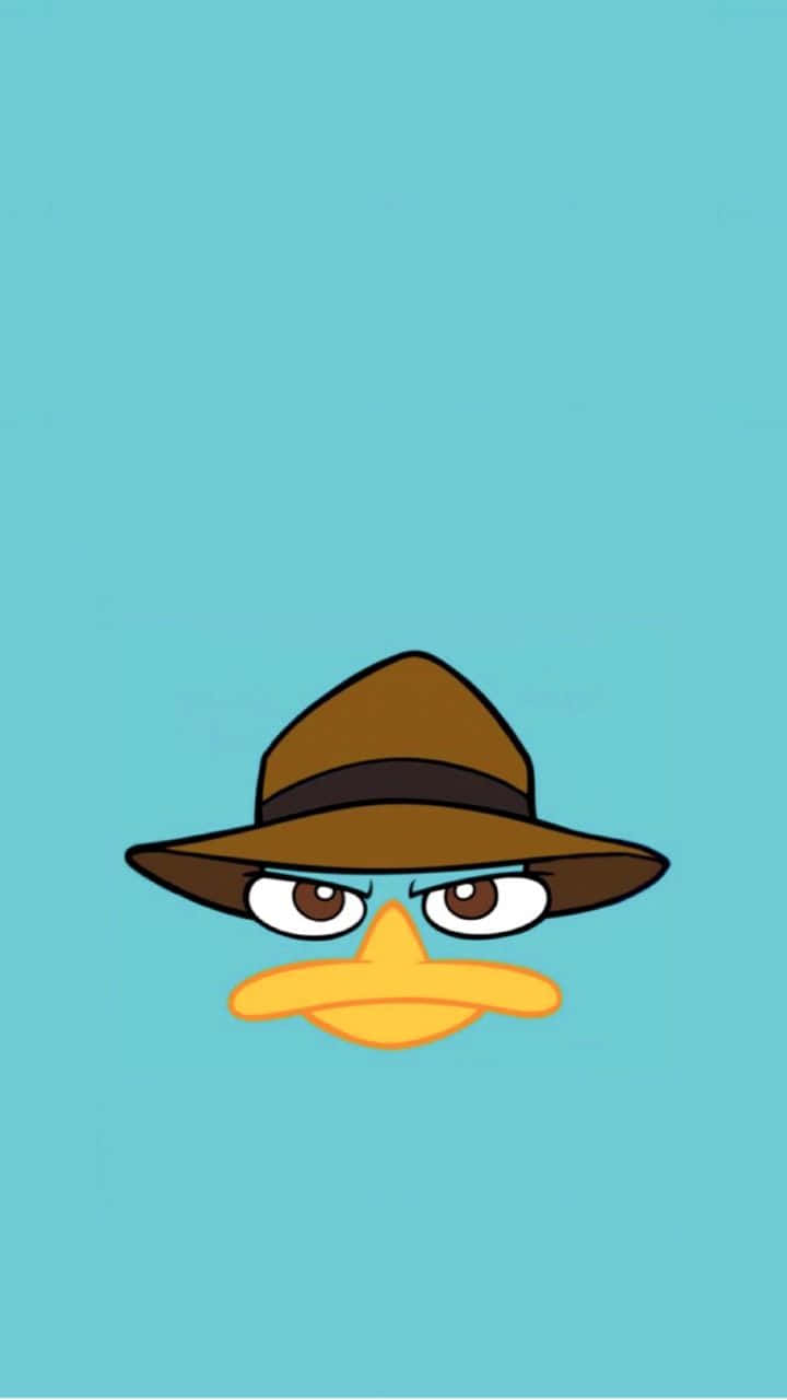 Phineas And Ferb 桌布 壁紙 — 一隻卡通鴨子戴著帶有黑色帶子的棕色軟呢帽，在純青色背景上憤怒地瞪著眼。