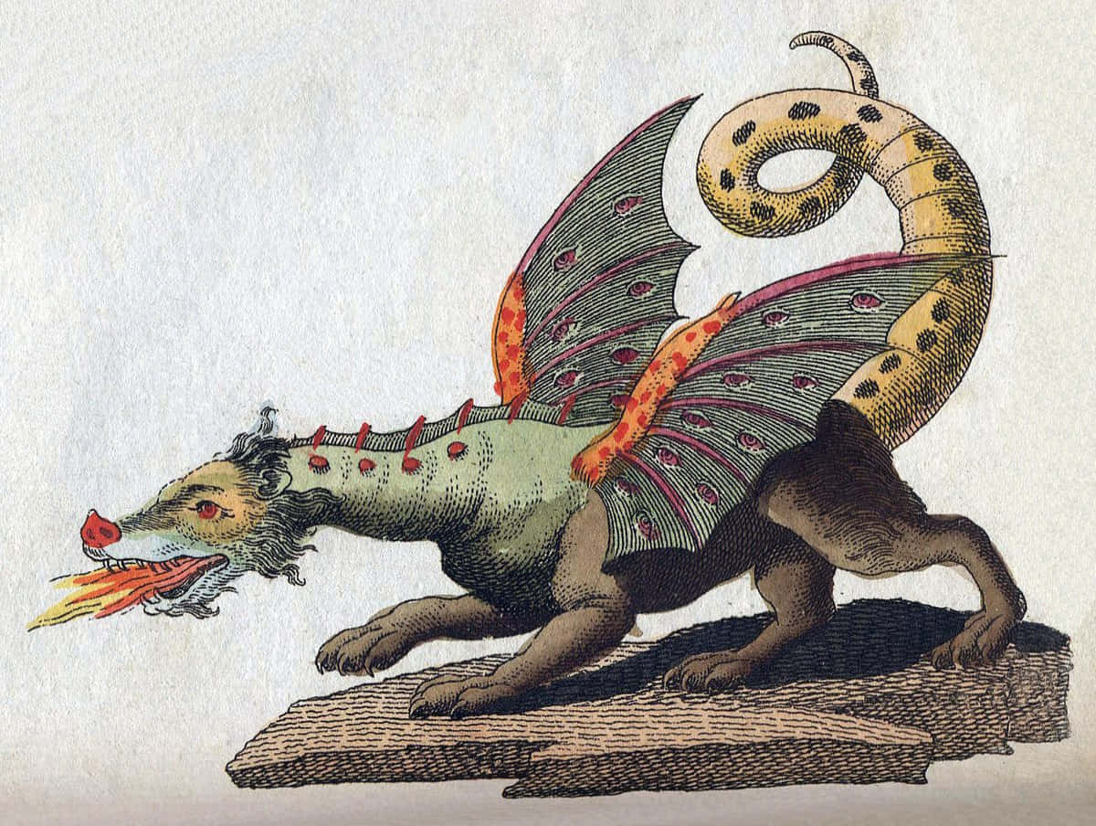 Dragons 桌布 壁紙 — 一隻古董風格插圖龍，綠色身體、紅色尖刺、斑點尾巴，站在岩石上噴火。