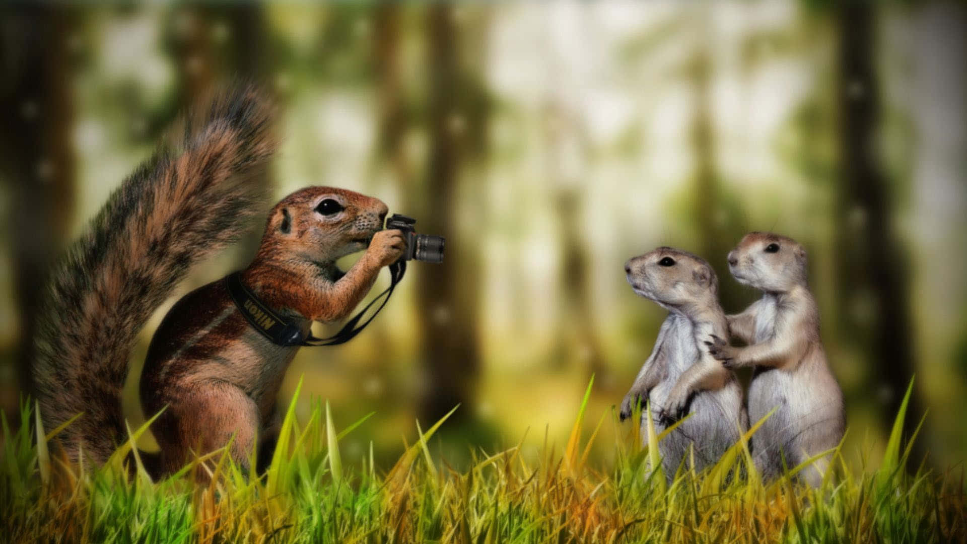 3d Animal 桌布 壁紙 — 一隻古靈精怪的松鼠攝影師捕捉到兩隻草原犬鼠在陽光明媚的森林空地中擺姿勢的自然快照。