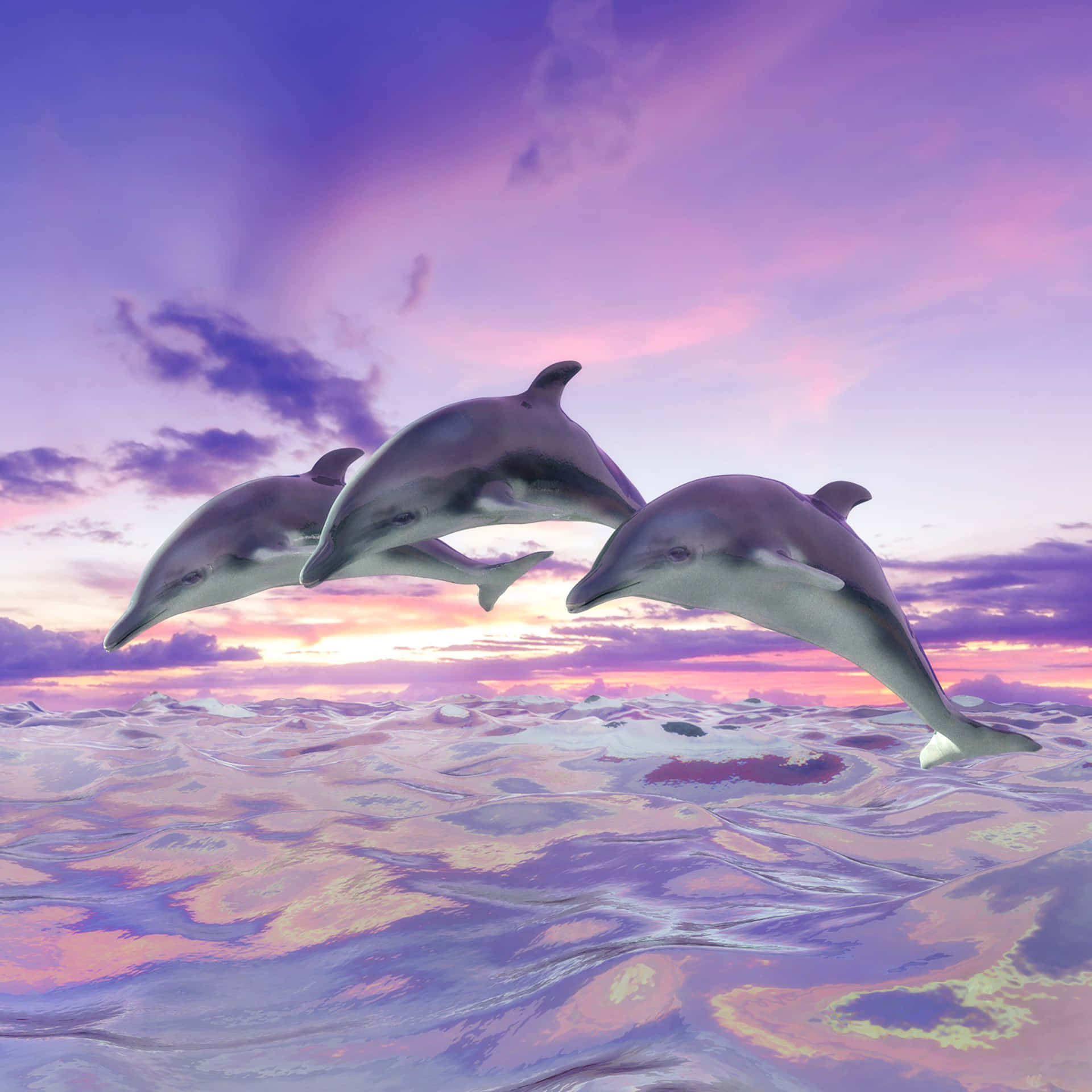 三隻海豚在日落時跳過色彩繽紛的海浪。 — 邁阿密海豚 GIF 壁紙