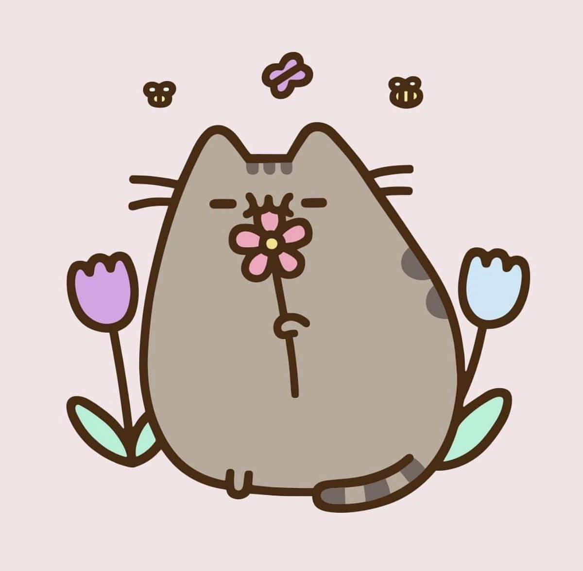 Pusheen 桌布 壁紙 — 一隻可愛的卡通貓拿著一朵粉紅色的花，蜜蜂和鬱金香在它的頭周圍漂浮。