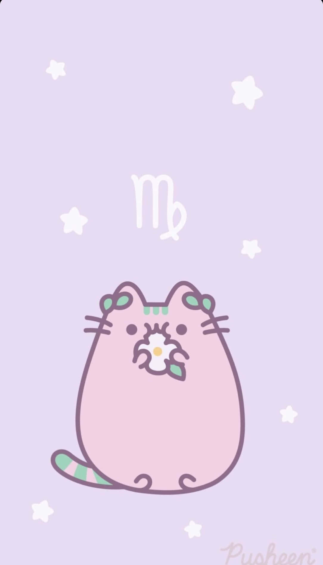 Kawaii Pusheen 桌布 壁紙 — 一隻可愛的粉紅色卡通貓咪在滿天星斗的薰衣草色天空下拿著一朵雛菊，上方有一個白色的星座符號。