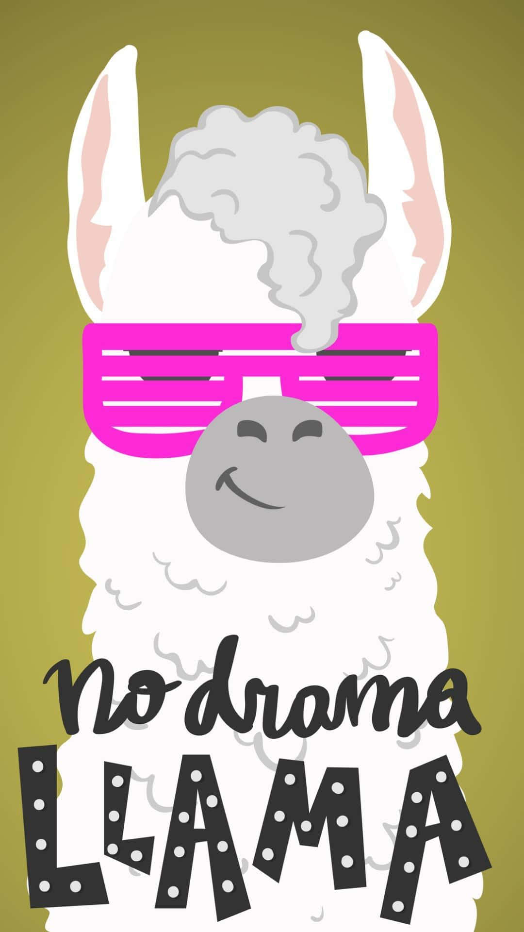 一隻卡通羊駝戴著粉紅色太陽眼鏡，頭頂冒著蒸氣，並有「No Drama Llama」字樣。