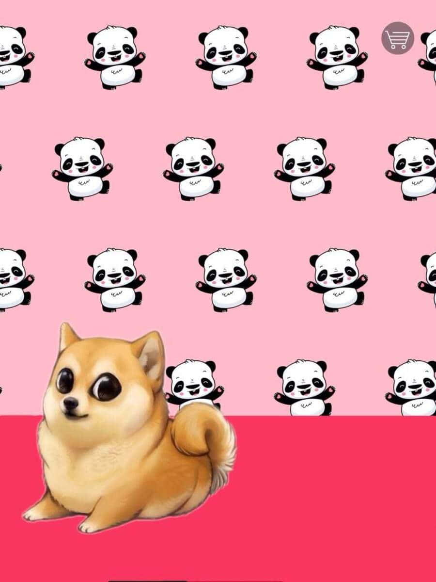 Kawaii Dog 桌布 壁紙 — 一隻可愛的芝娃娃坐在粉紅色背景前，背景充滿重複的卡通熊貓。