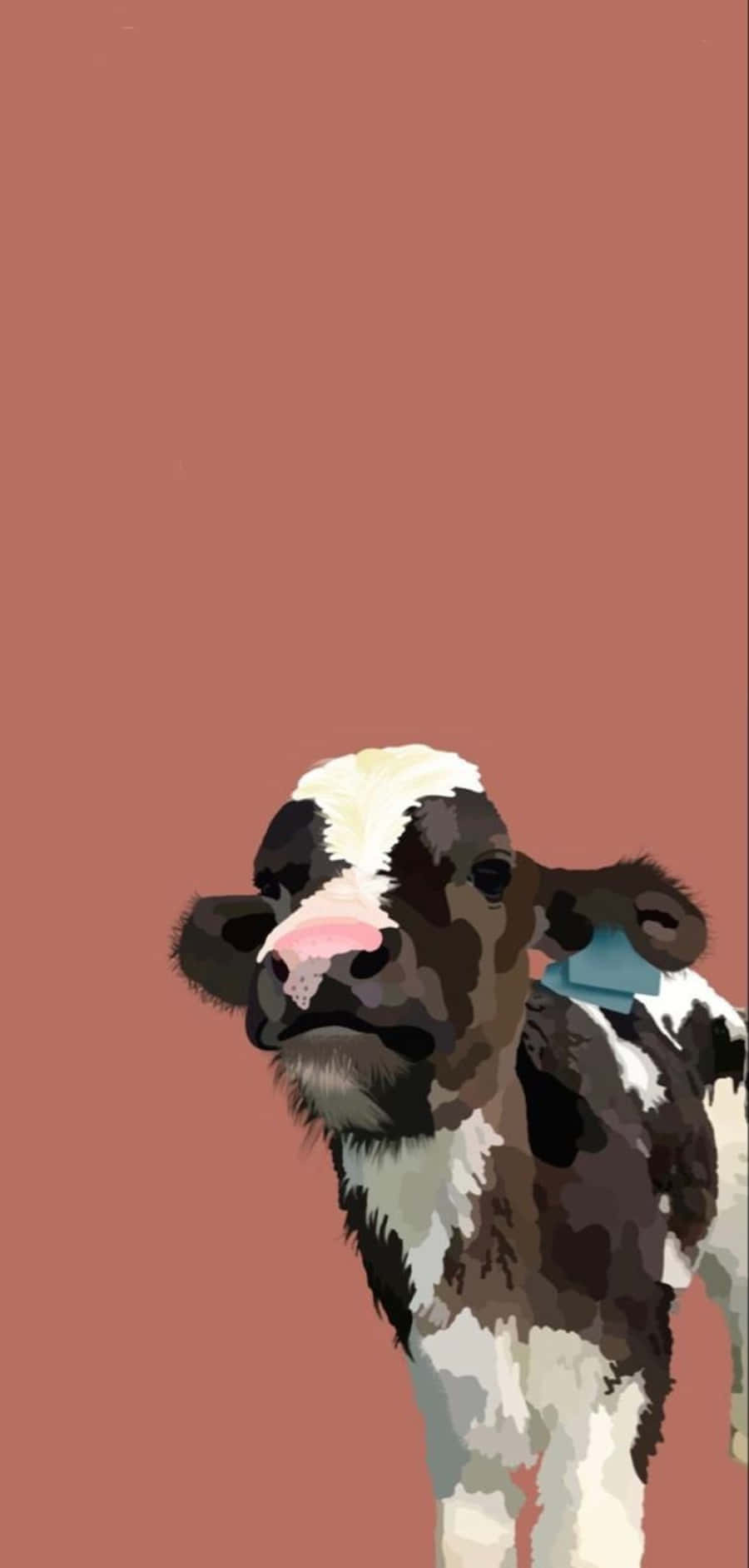 Kawaii Cute Cow 桌布 壁紙 — 一隻可愛的黑白小牛，粉紅色鼻子和藍色標籤，站在純色陶土背景前。