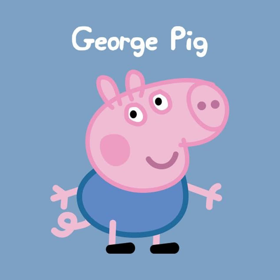 George Pig 桌布 壁紙 — 一隻名叫喬治豬的快樂卡通豬站在純藍色背景前，穿著藍色襯衫和黑色鞋子。