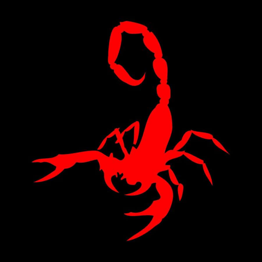 Red Scorpion 桌布 壁紙 — 一隻大膽的紅色蠍子剪影在純黑色背景上突出顯現。