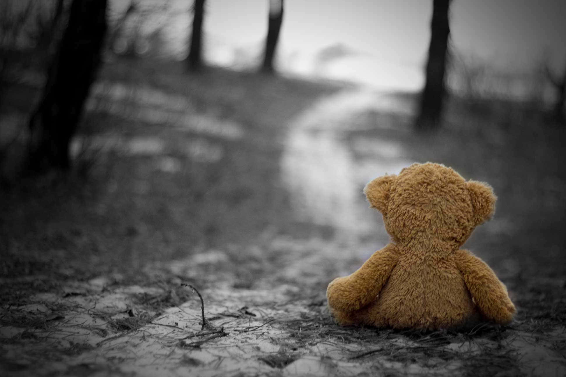 sadness 桌布 壁紙 — 一隻孤獨的泰迪熊坐在森林小徑上，其溫暖的棕色毛髮與單色環境形成對比。