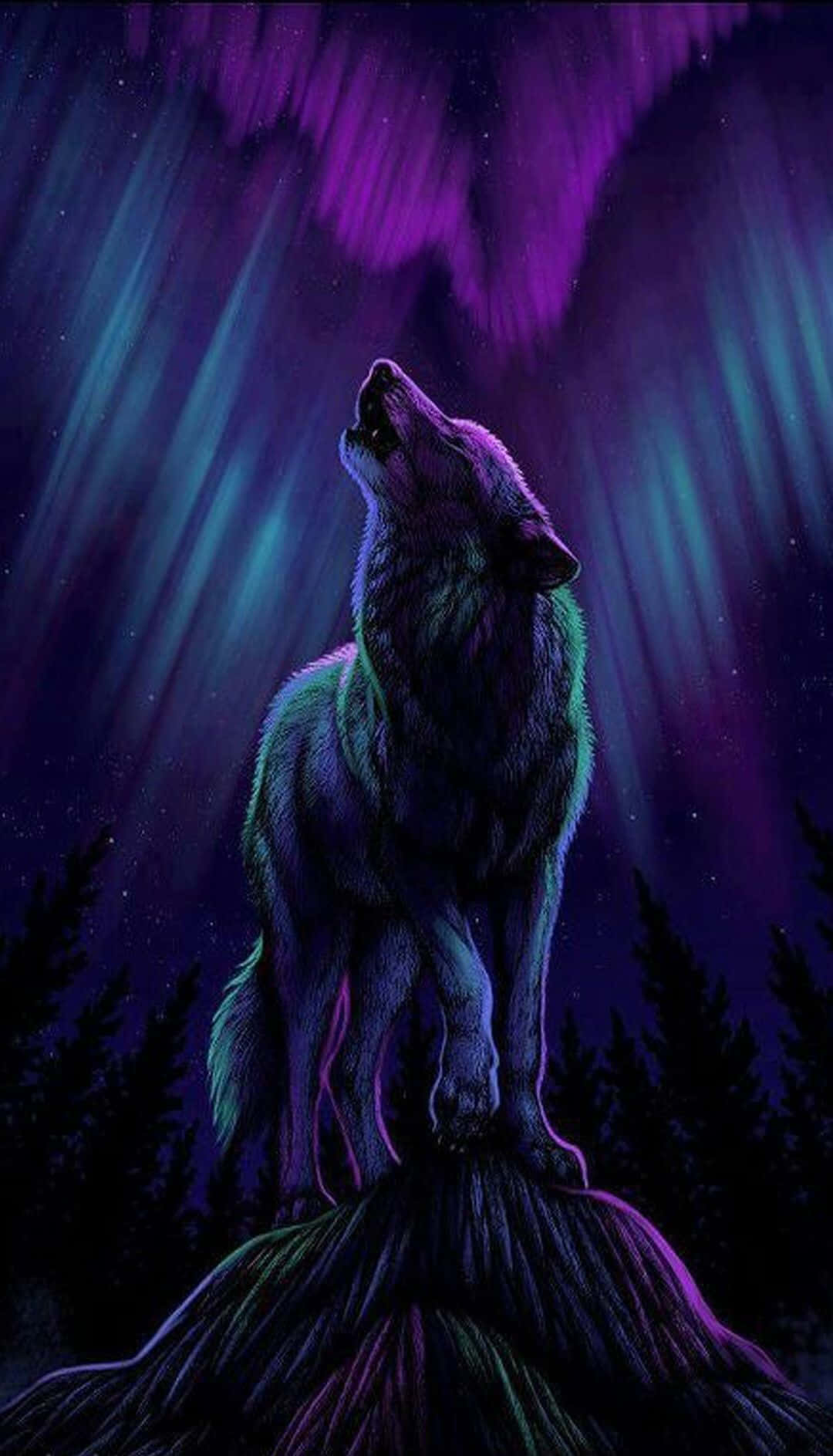 Alpha Wolf 桌布 壁紙 — 一隻孤獨的狼對著在雪峰上空發光的鮮豔紫色和藍綠色北極光向上嚎叫。