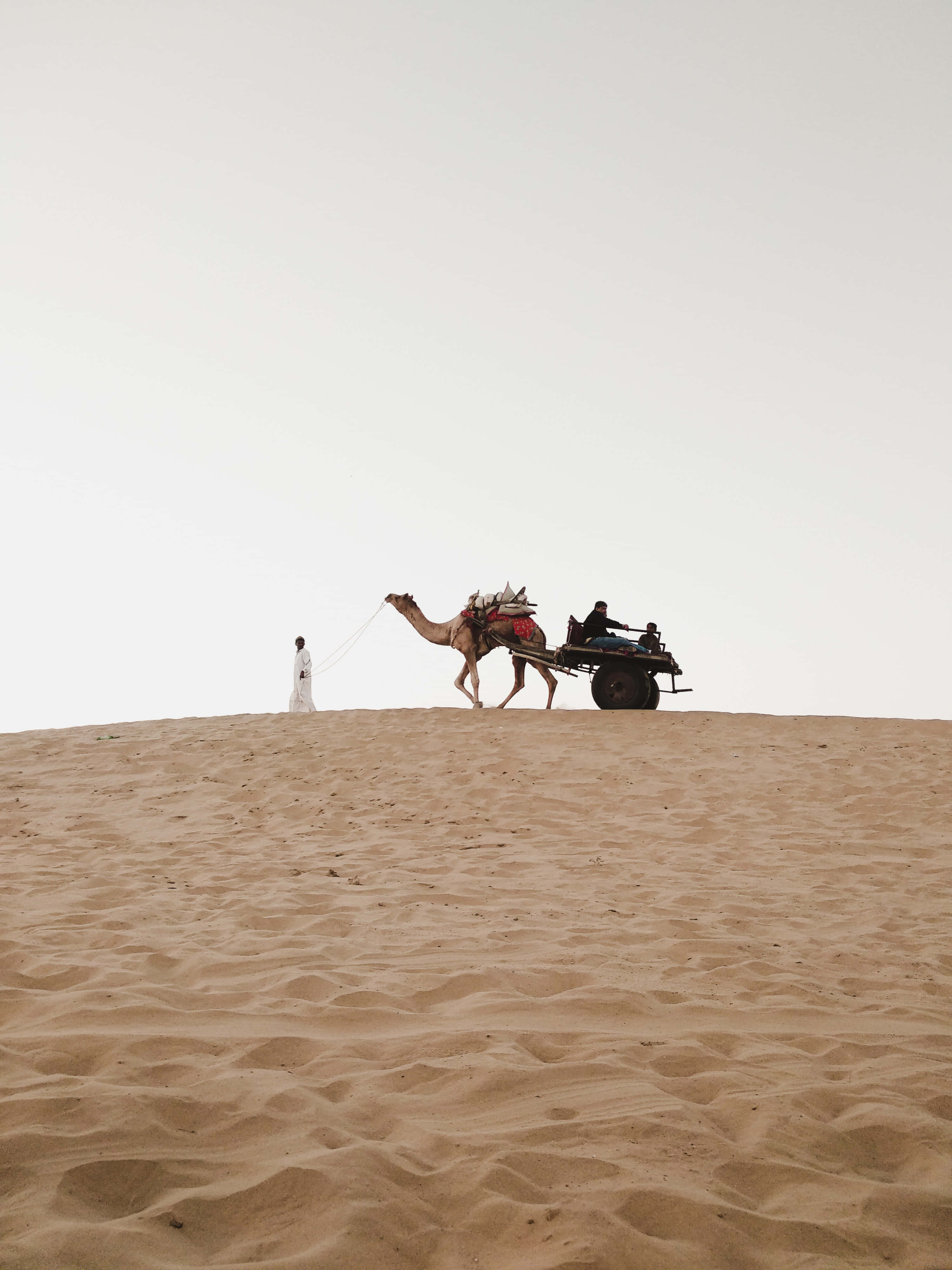 Rajasthan 桌布 壁紙 — 一隻孤獨的駱駝拉著一輛車穿過廣闊的沙漠沙丘，天空蒼白，旁邊有一個人影在行走。