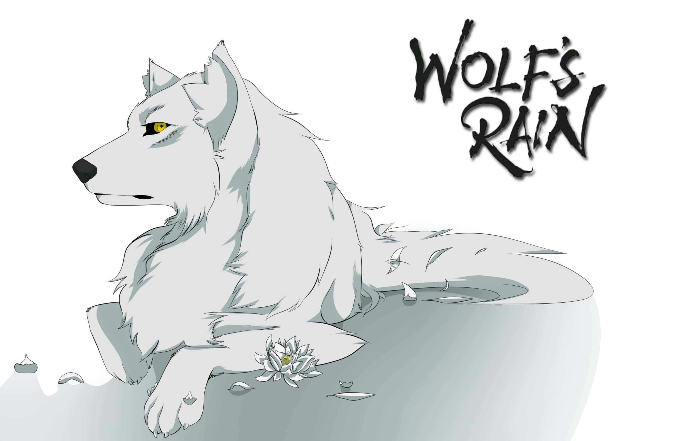 Wolf's Rain Kiba 桌布 壁紙 — 一隻寧靜的白狼，黃色眼睛，在柔和的灰色調下，睡在蓮花旁邊，帶有「WOLF'S RAIN」文字。