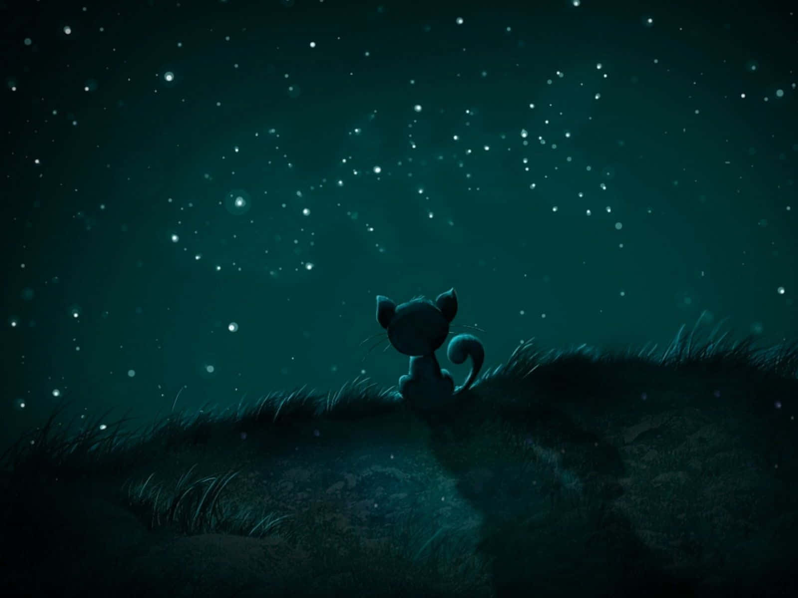 dreams 桌布 壁紙 — 一隻小黑貓坐在長滿草的山丘上，仰望廣闊的星空青綠色夜空。