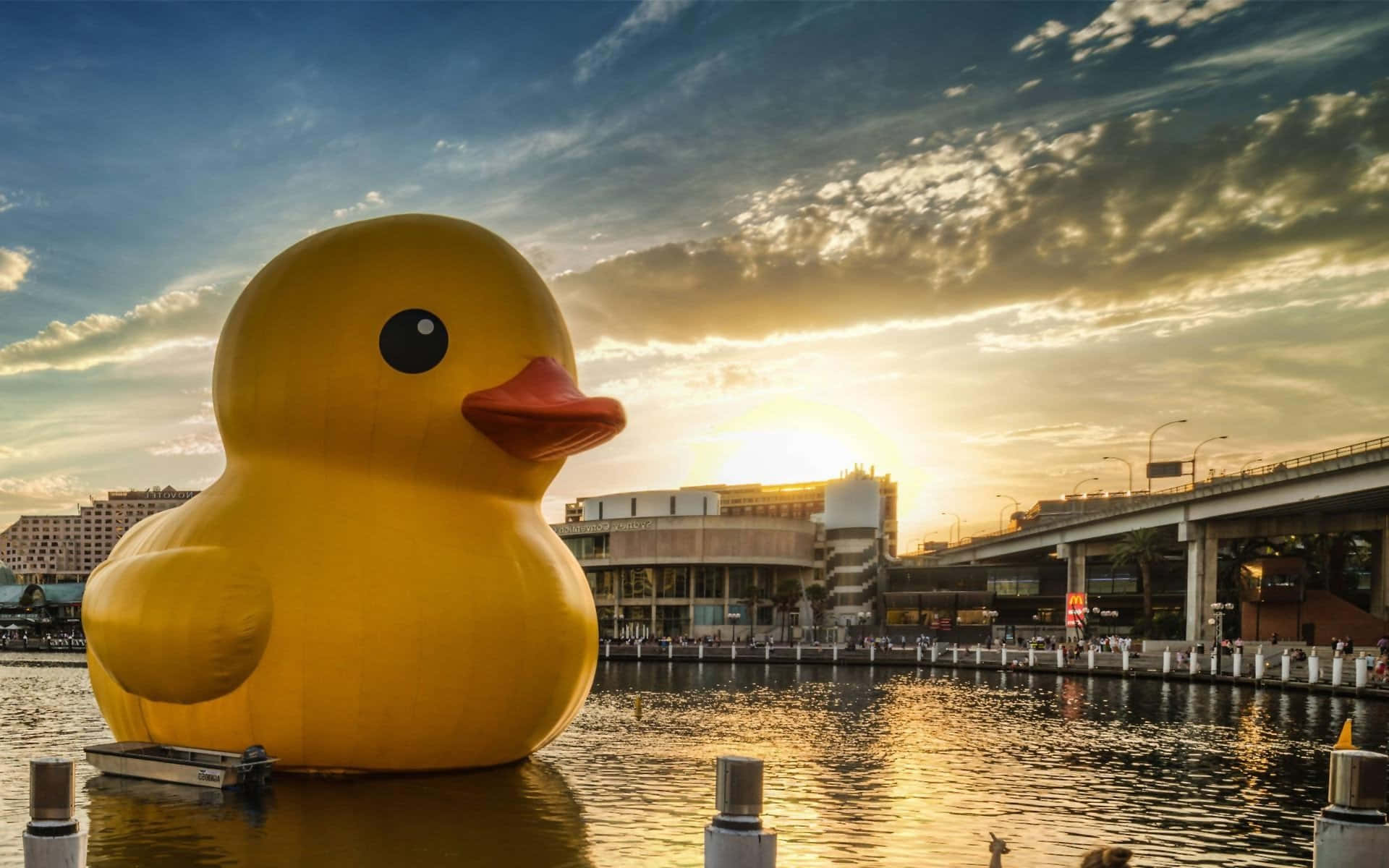 Cute Duck 桌布 壁紙 — 一隻巨大的黃色橡膠鴨子靜靜地漂浮在水面上，金色的夕陽光芒沐浴著後方的城市天際線。