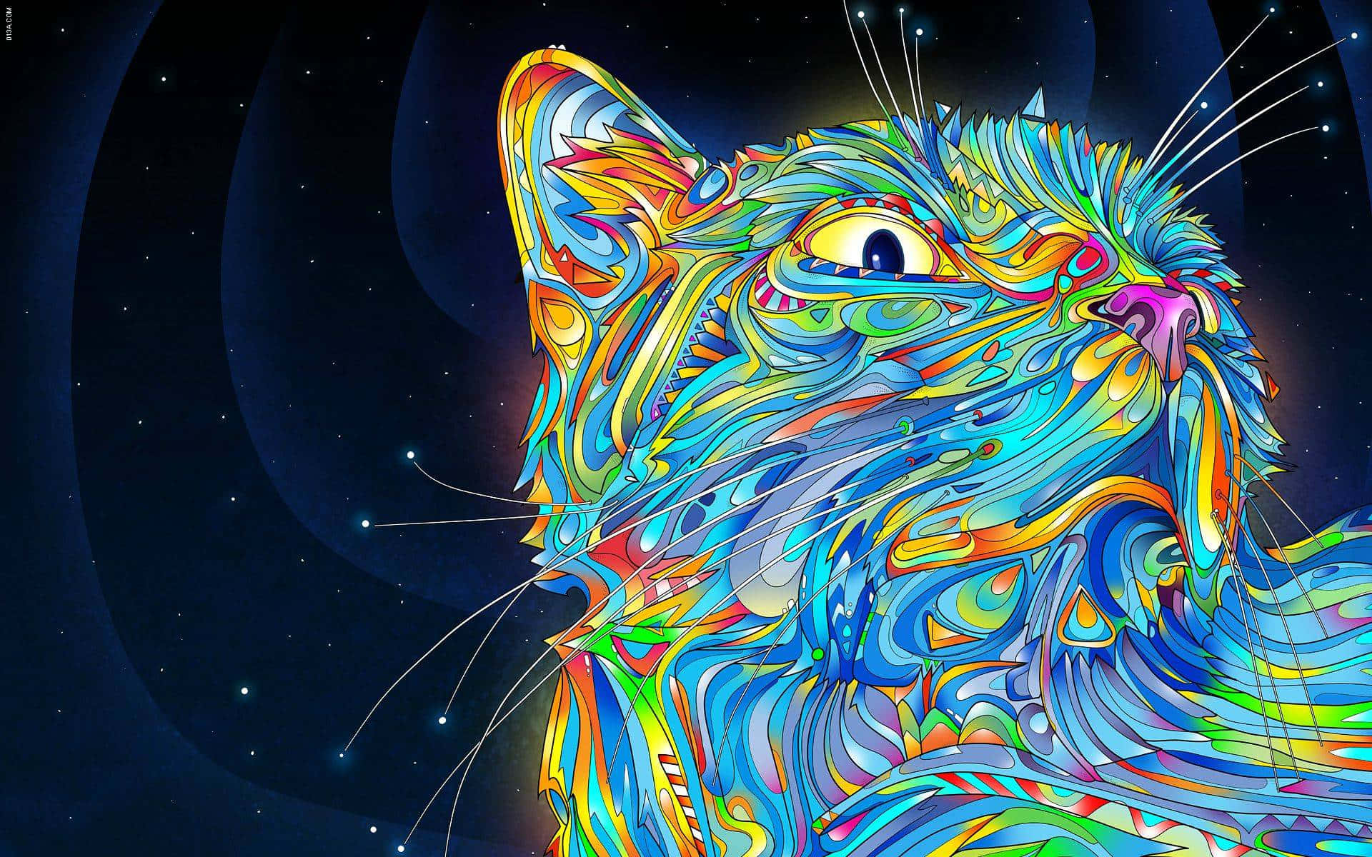 Tripping 桌布 壁紙 — 一隻帶有旋轉彩虹圖案的迷幻貓咪，在星光宇宙背景下向上凝視。