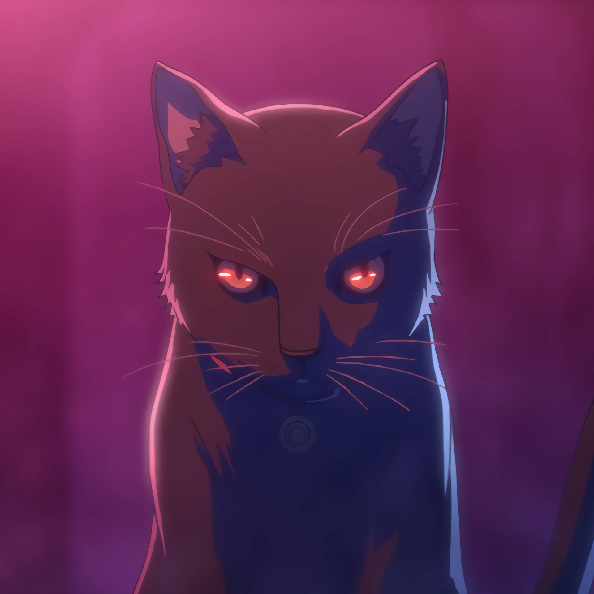 一隻帶有發光紅眼的威脅性動漫貓，在紫色背景前。 — 動漫貓 GIF 壁紙